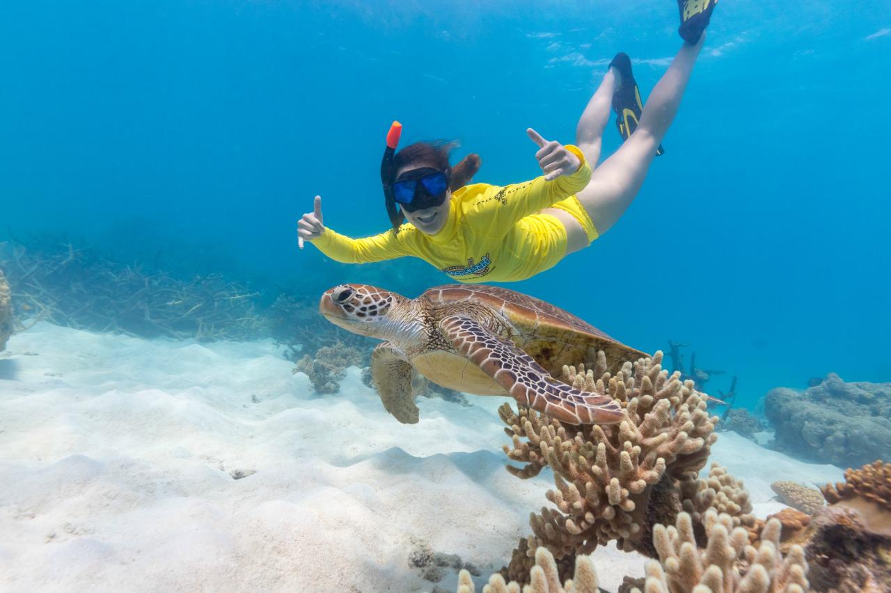 Ocean Rafting + Ocean Safari two trips deal