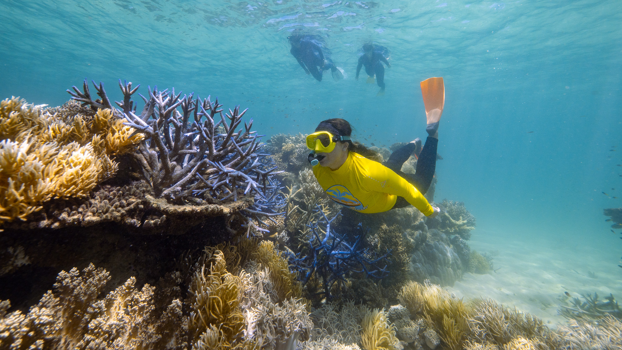 AFTERNOON Ocean Safari Great Barrier Reef Adventure