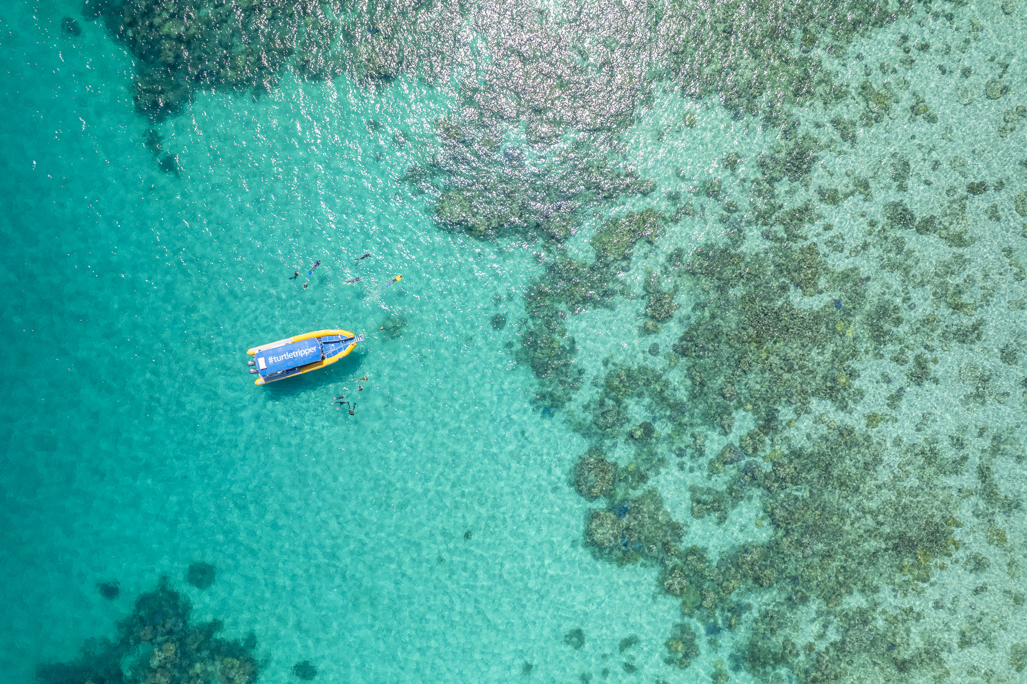 AFTERNOON Ocean Safari Great Barrier Reef Adventure