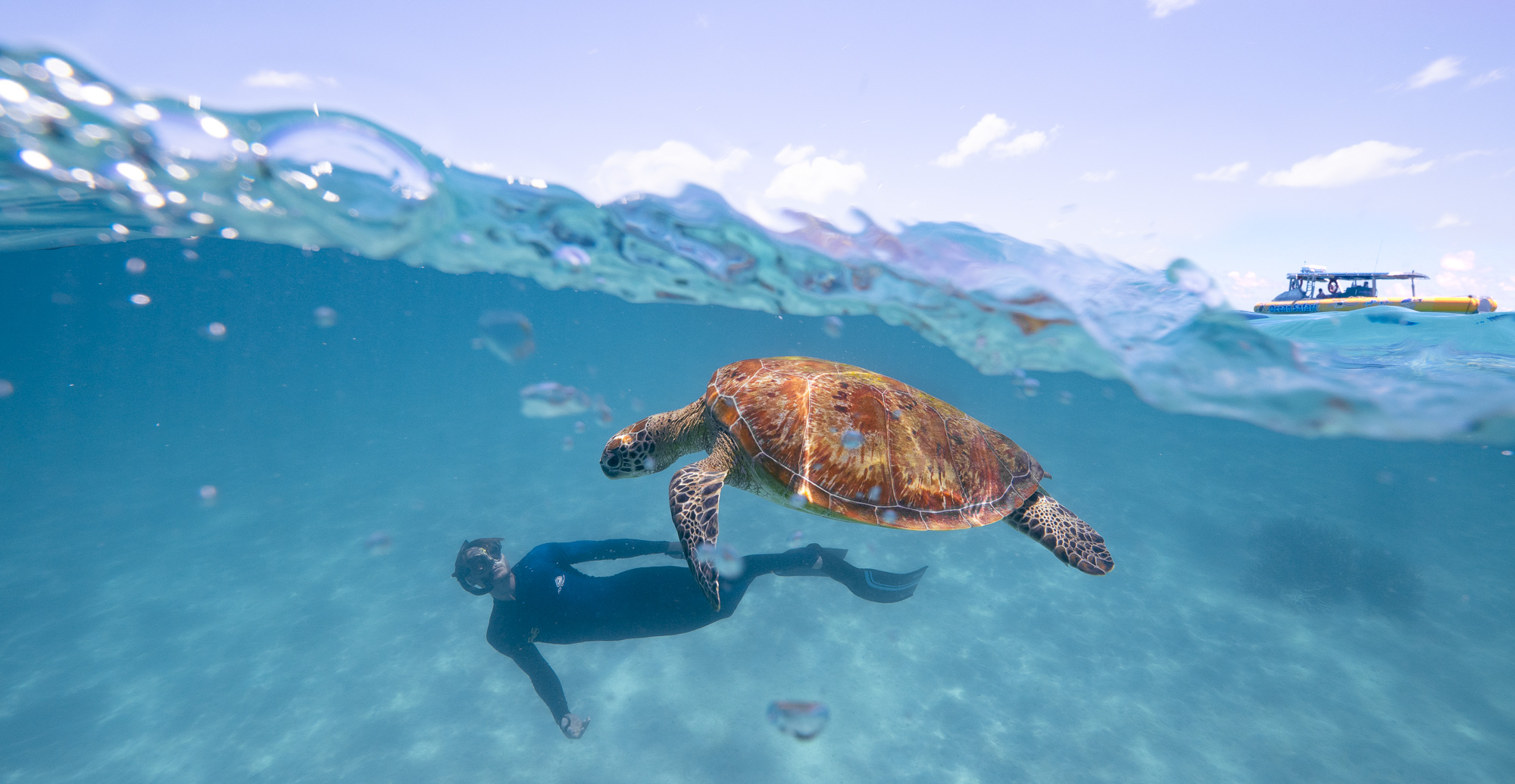 AFTERNOON Ocean Safari Great Barrier Reef Adventure