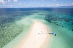 MORNING Ocean Safari Great Barrier Reef Adventure