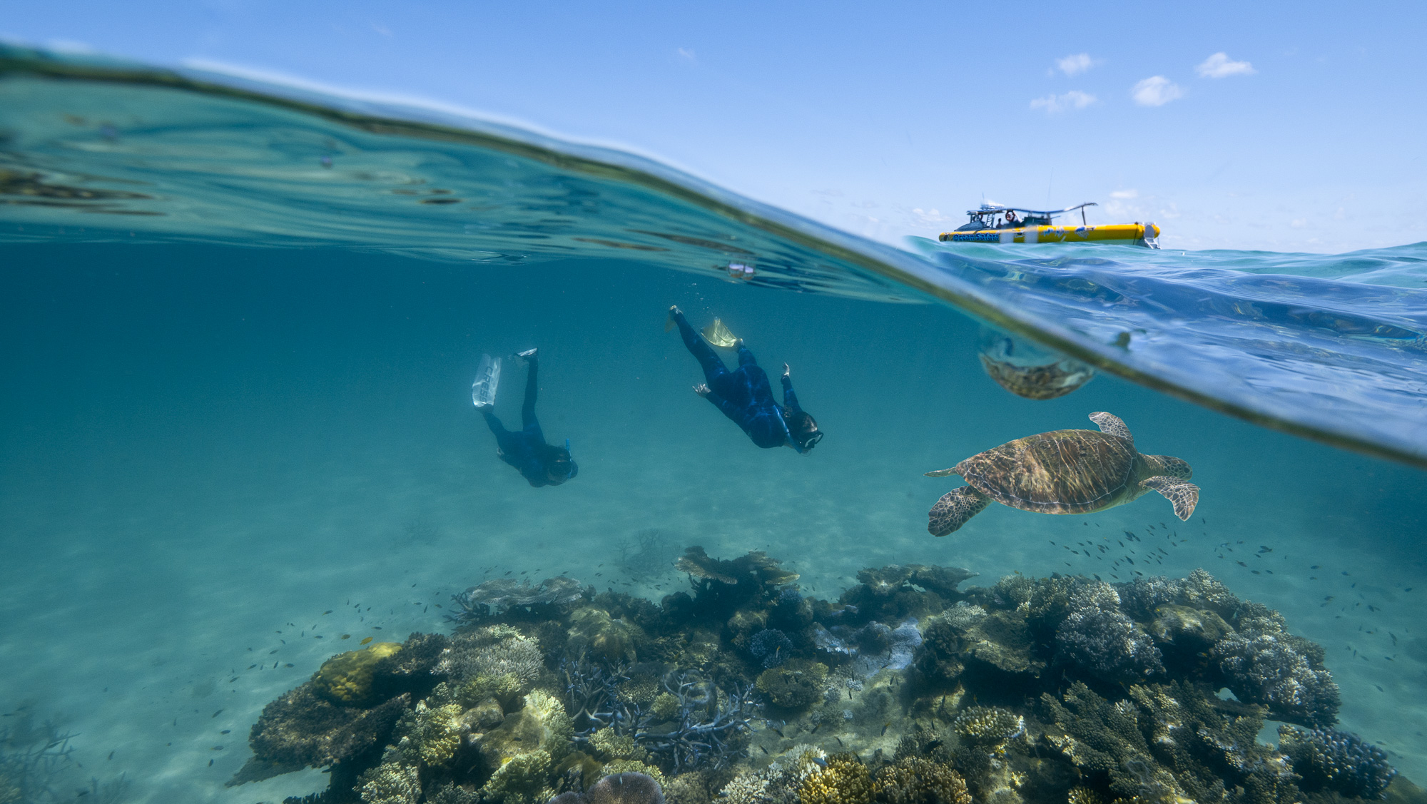AFTERNOON Ocean Safari Great Barrier Reef Adventure
