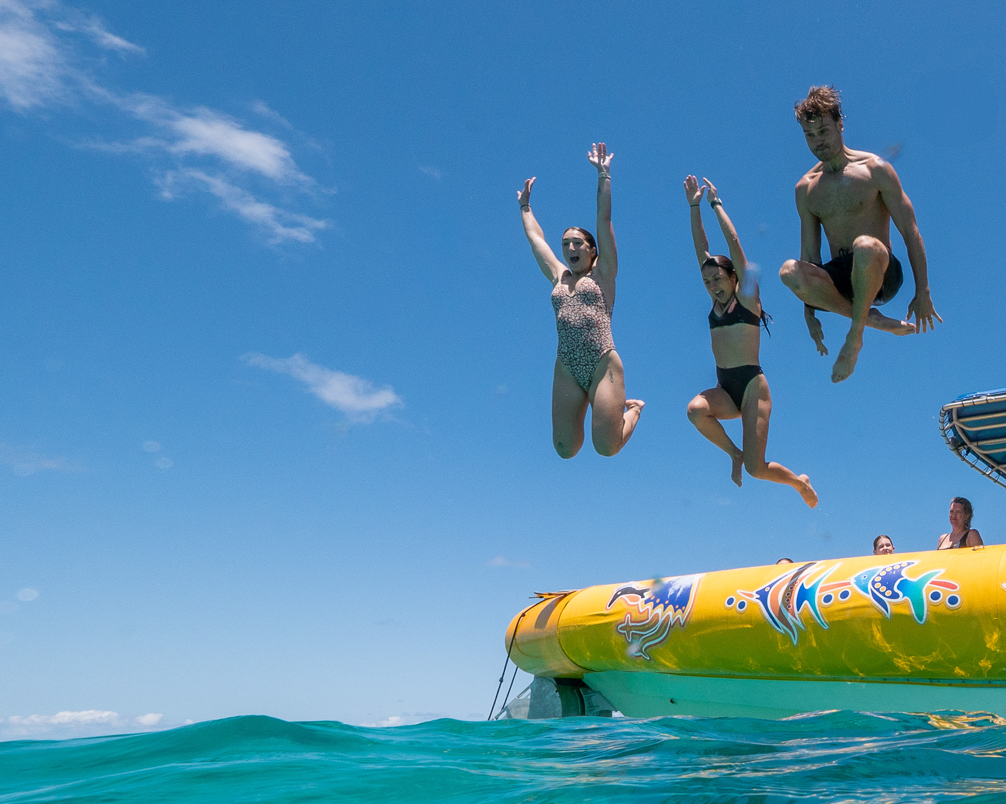 AFTERNOON Ocean Safari Great Barrier Reef Adventure