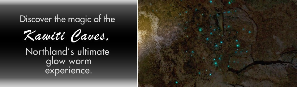 Glow Worm Caves Express Tour