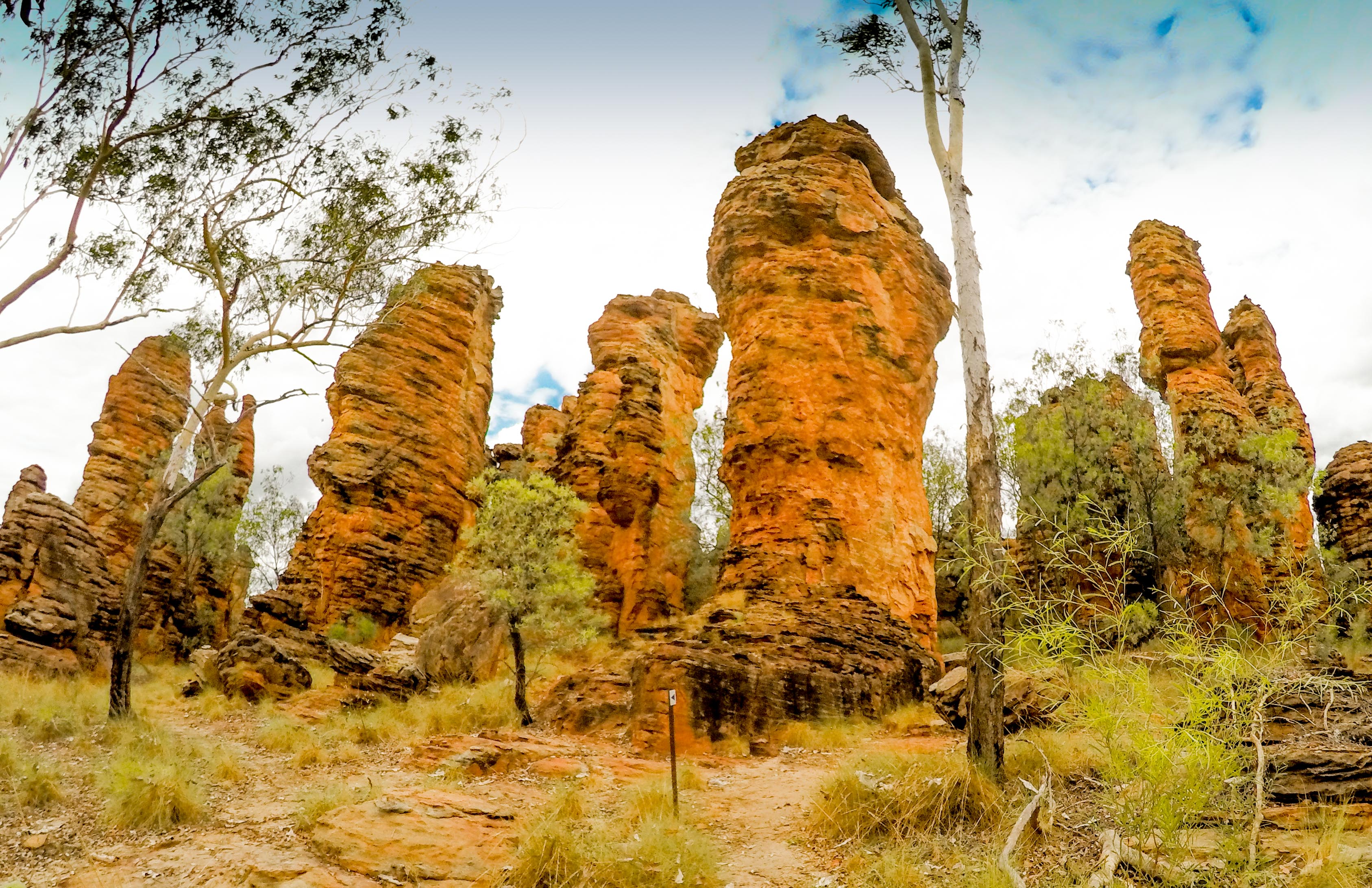 Darwin to Cairns: 11-day tour