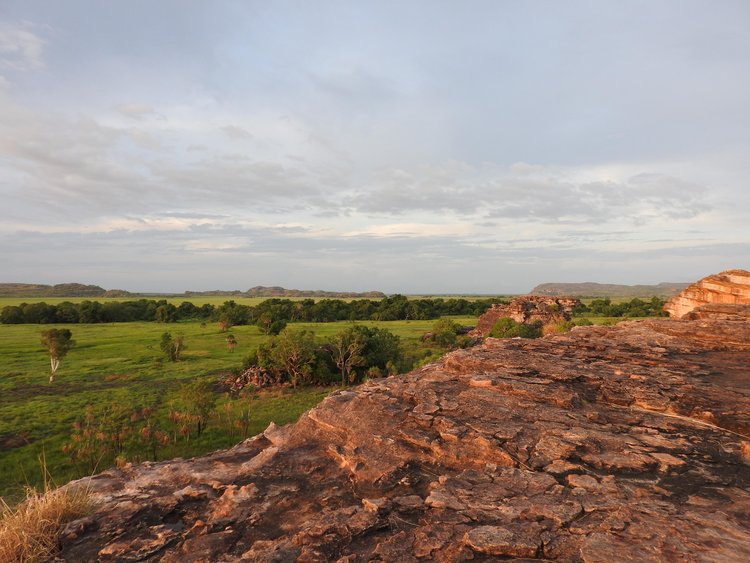 Kakadu National Park Day Tour