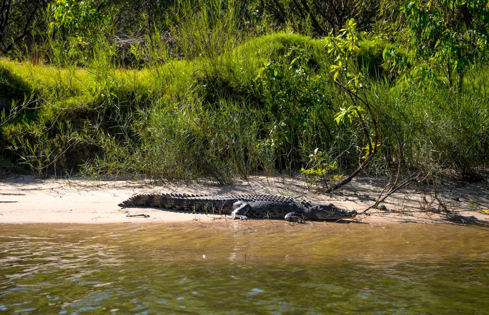 Kakadu National Park Day Tour