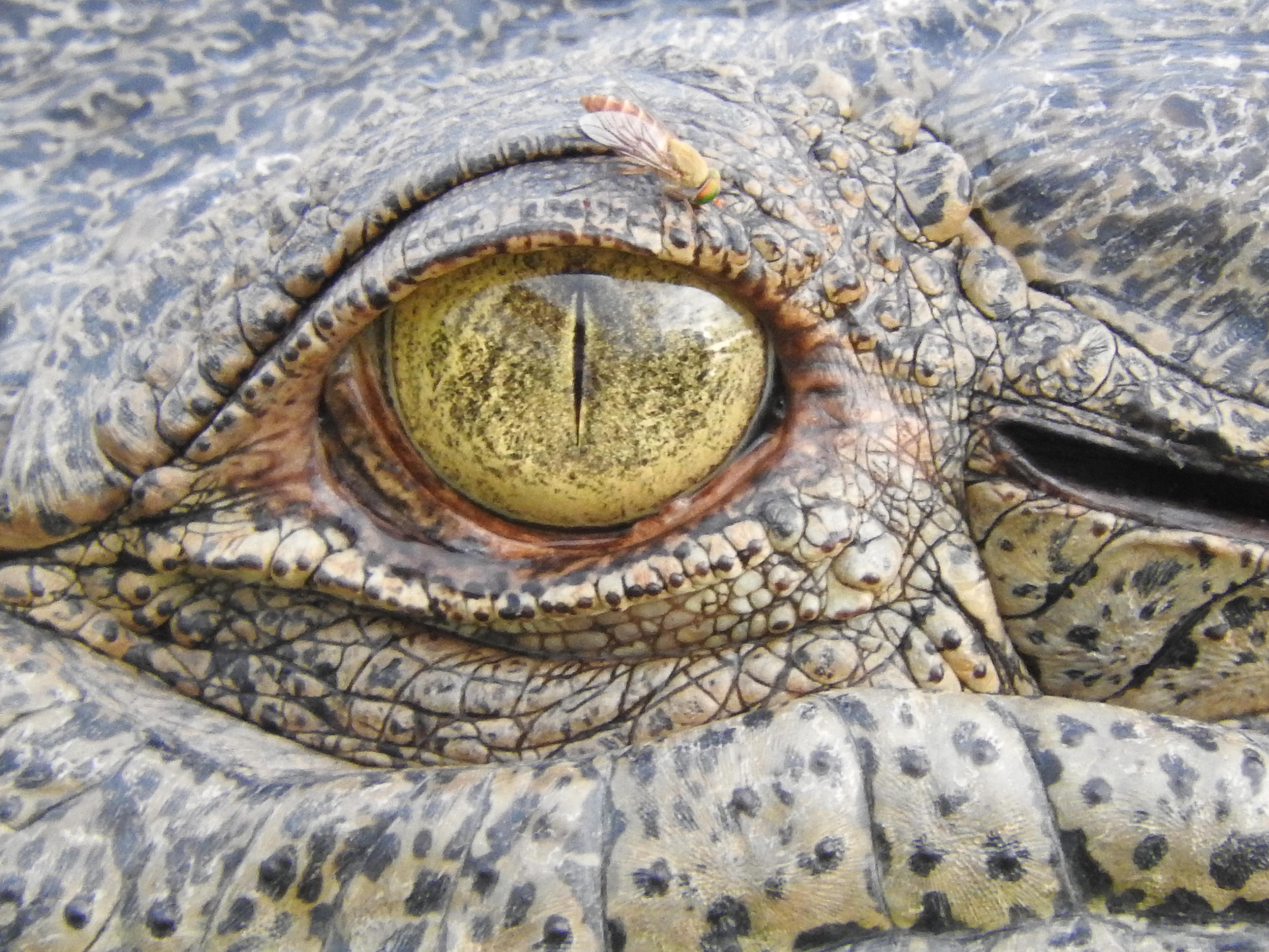 Kakadu National Park Day Tour