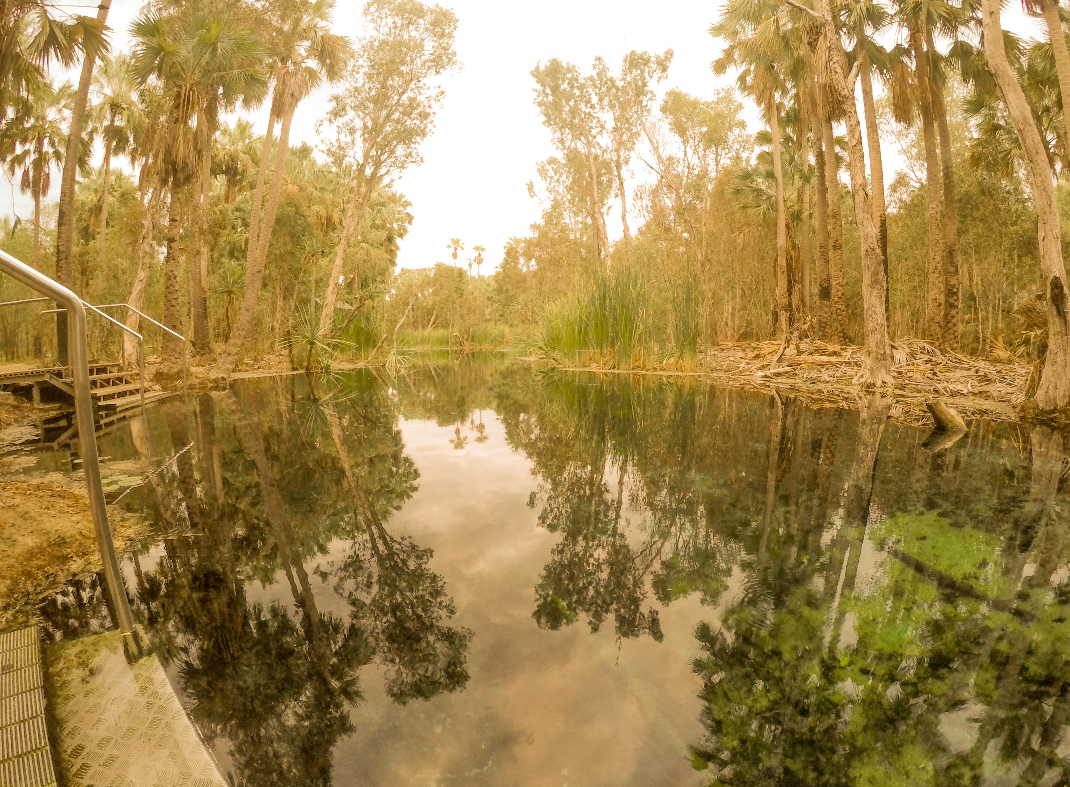 Darwin to Cairns: 11-day tour