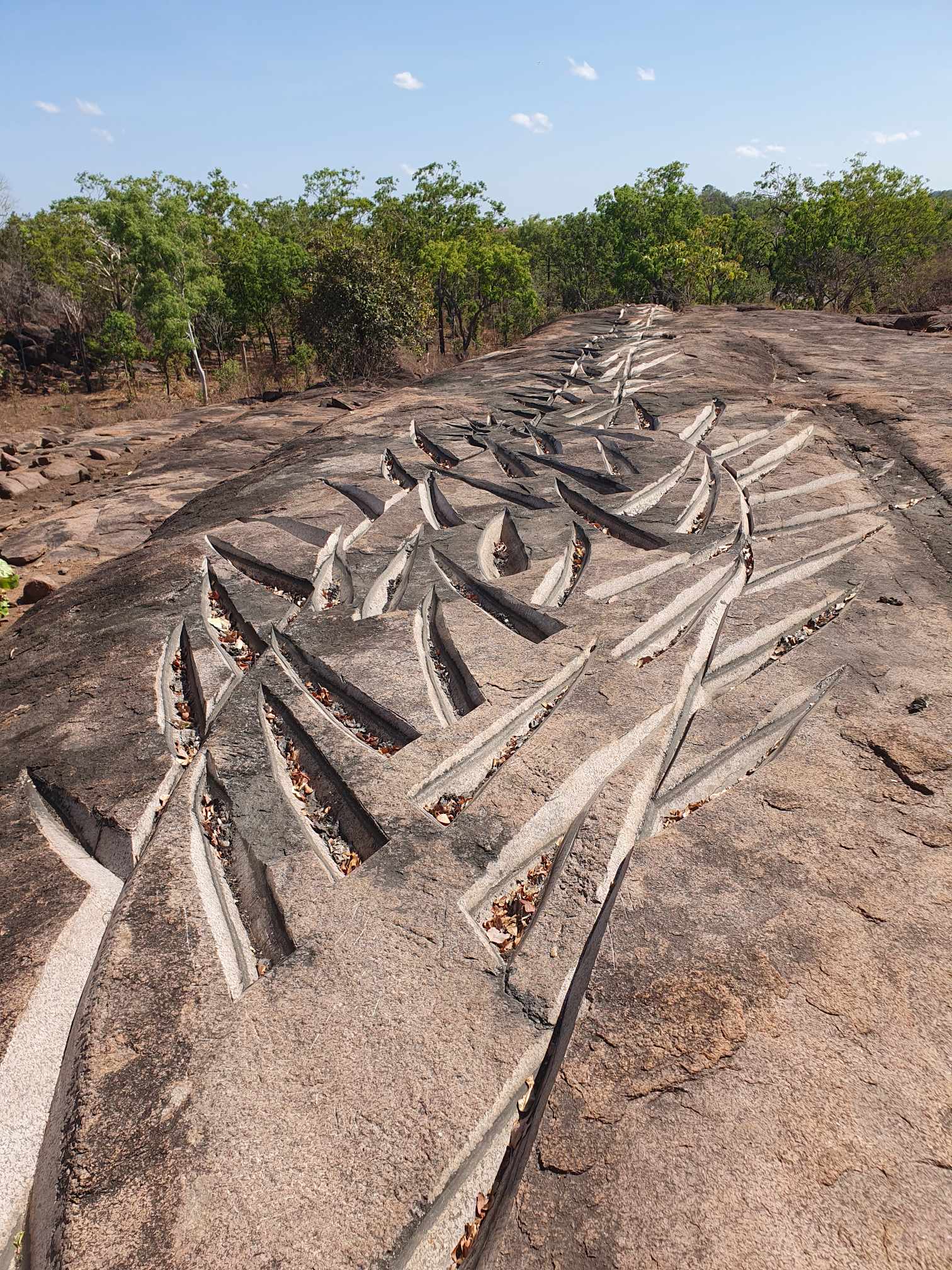 Kakadu National Park Day Tour