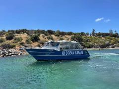 Kangaroo Island Ocean Safari - 2 hour SWIM with dolphin / seal / coastal snorkelling