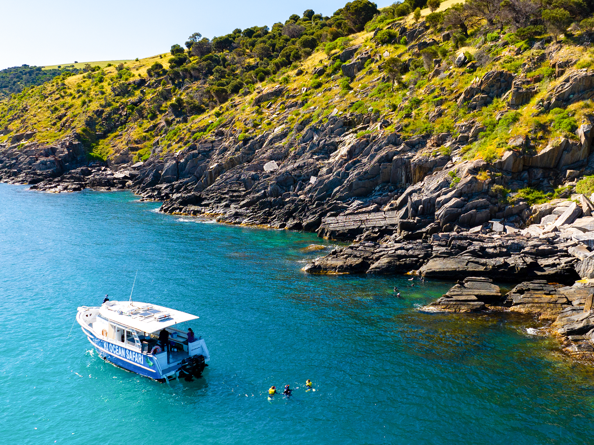 Private Snorkelling Charter - Swim with Seals/Dolphins/Coastal Snorkel