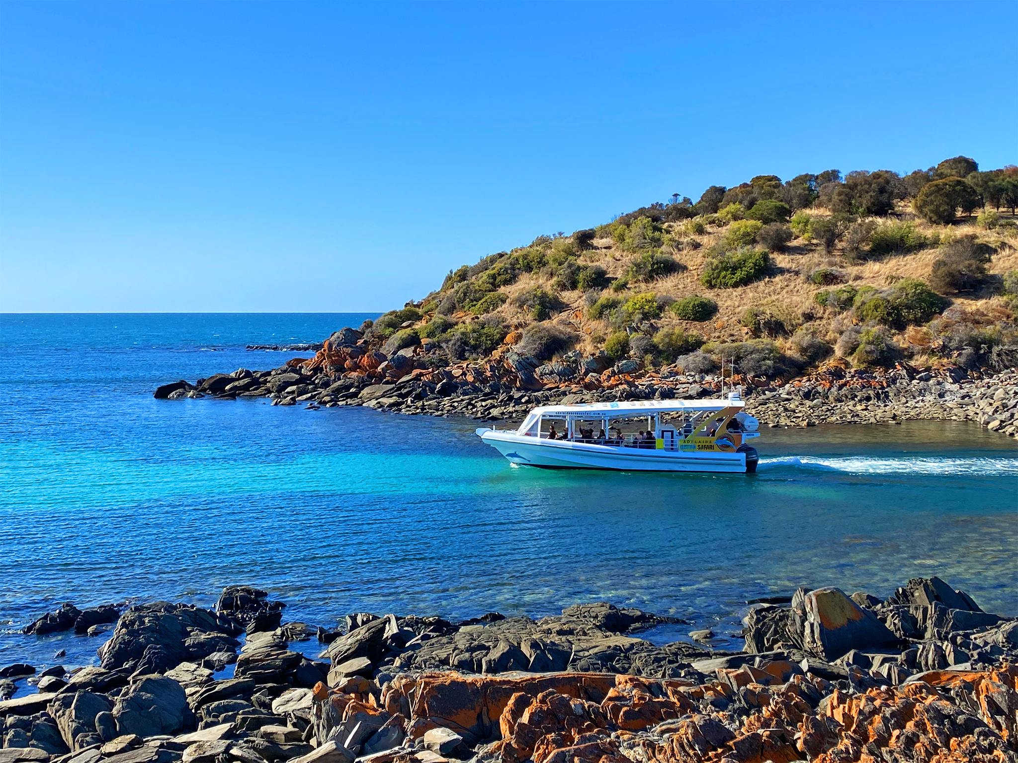 Private Charter - 38 Seater Vessel