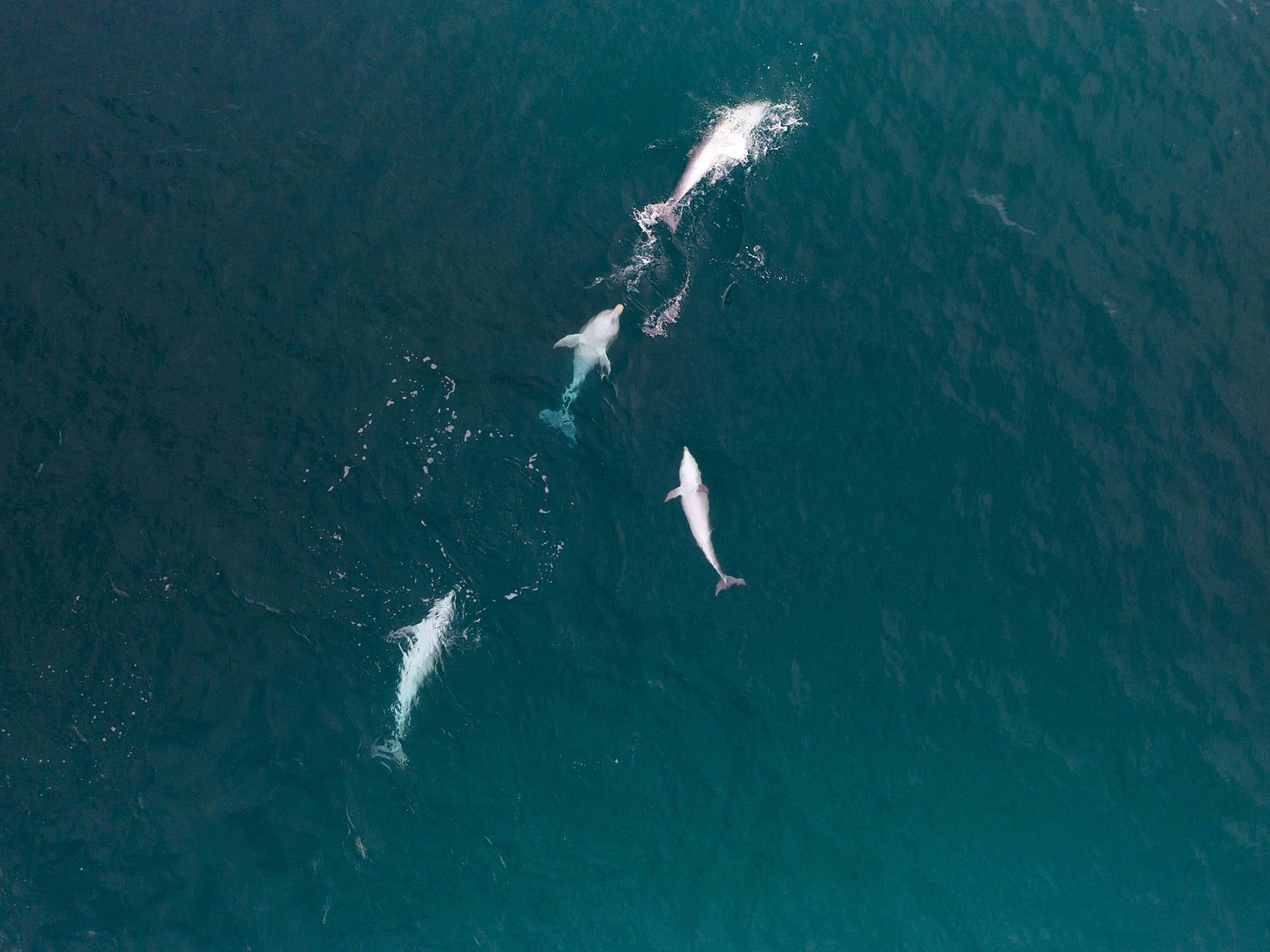 Private Charter - 38 Seater Vessel