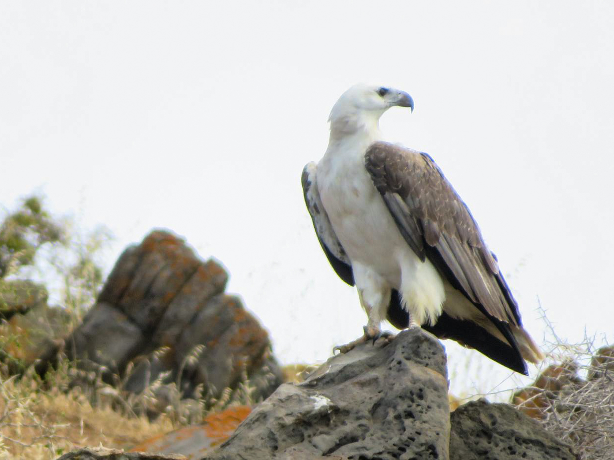 Private Charter - 38 Seater Vessel