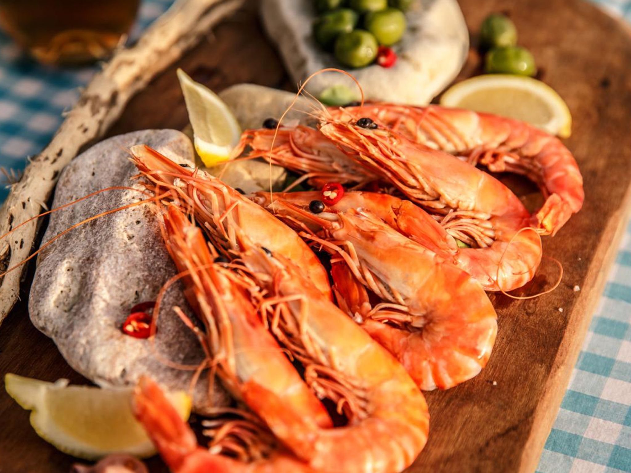 Private Charter - 38 Seater Vessel