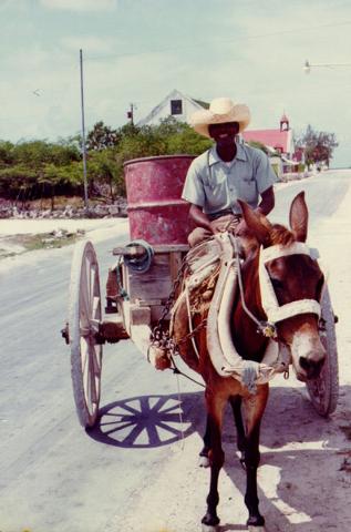 Donkey_Cart