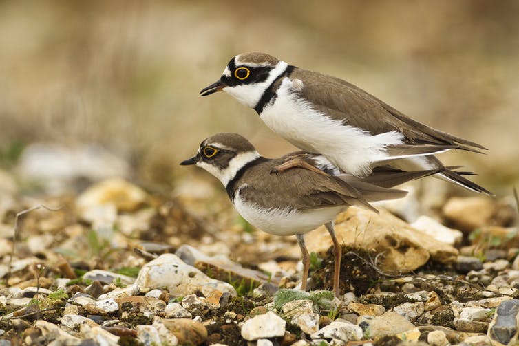 Grand Turk Private Natural Wildlife Photo Adventure Tour - Mama Dea ...