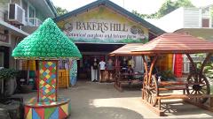 2in1 City tour :  City Sightseeing; Shopping & museum tour