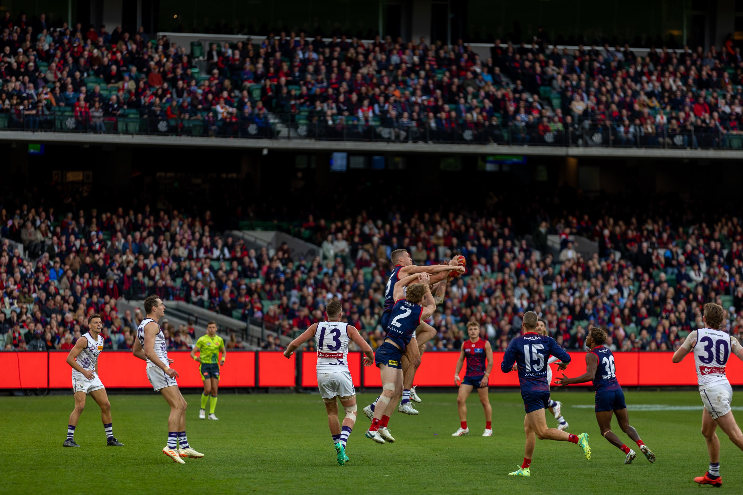 Discover Aussie Rules: Melbourne's Football Experience