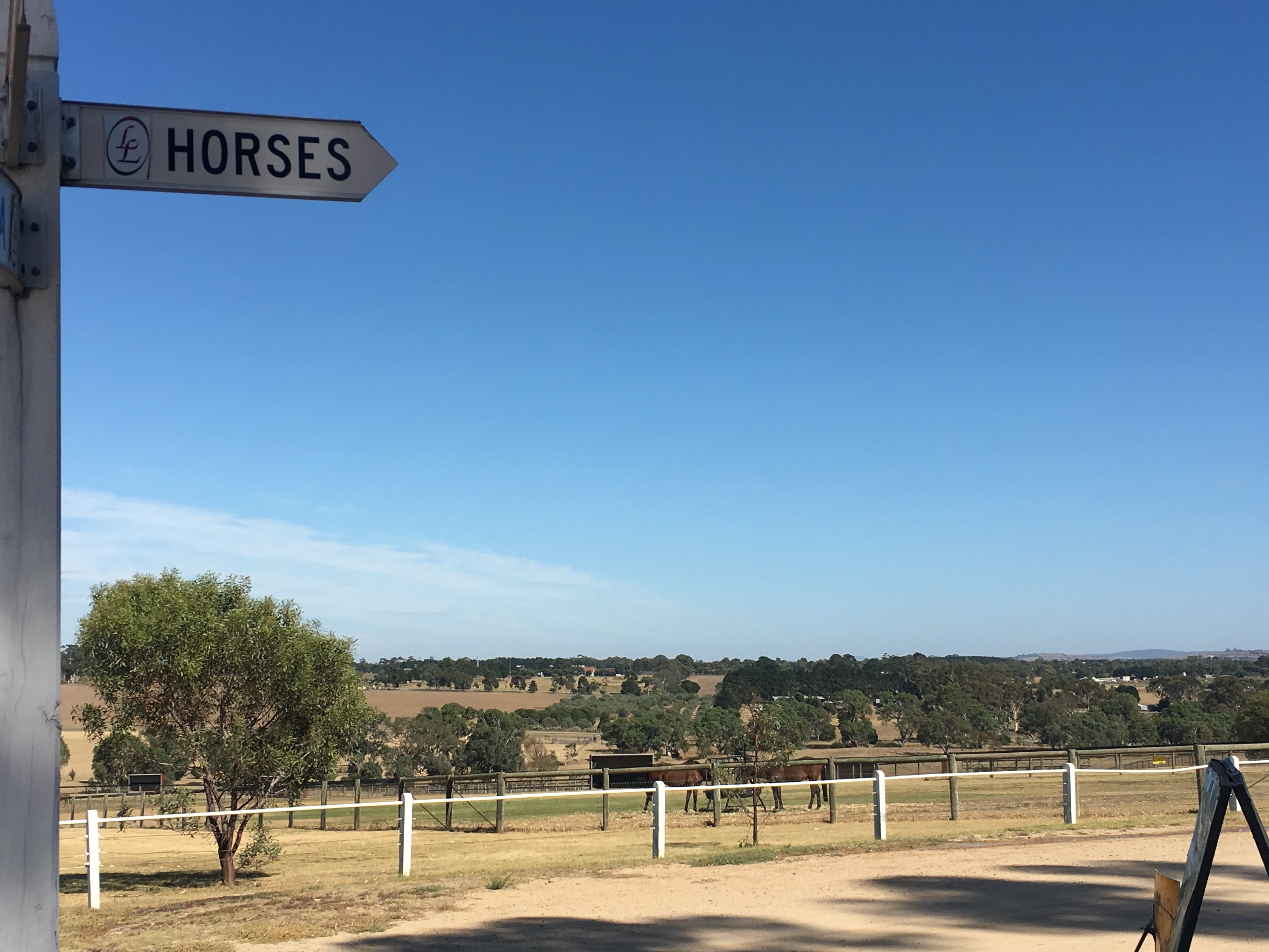 Living Legends and Lunch Shore Excursion