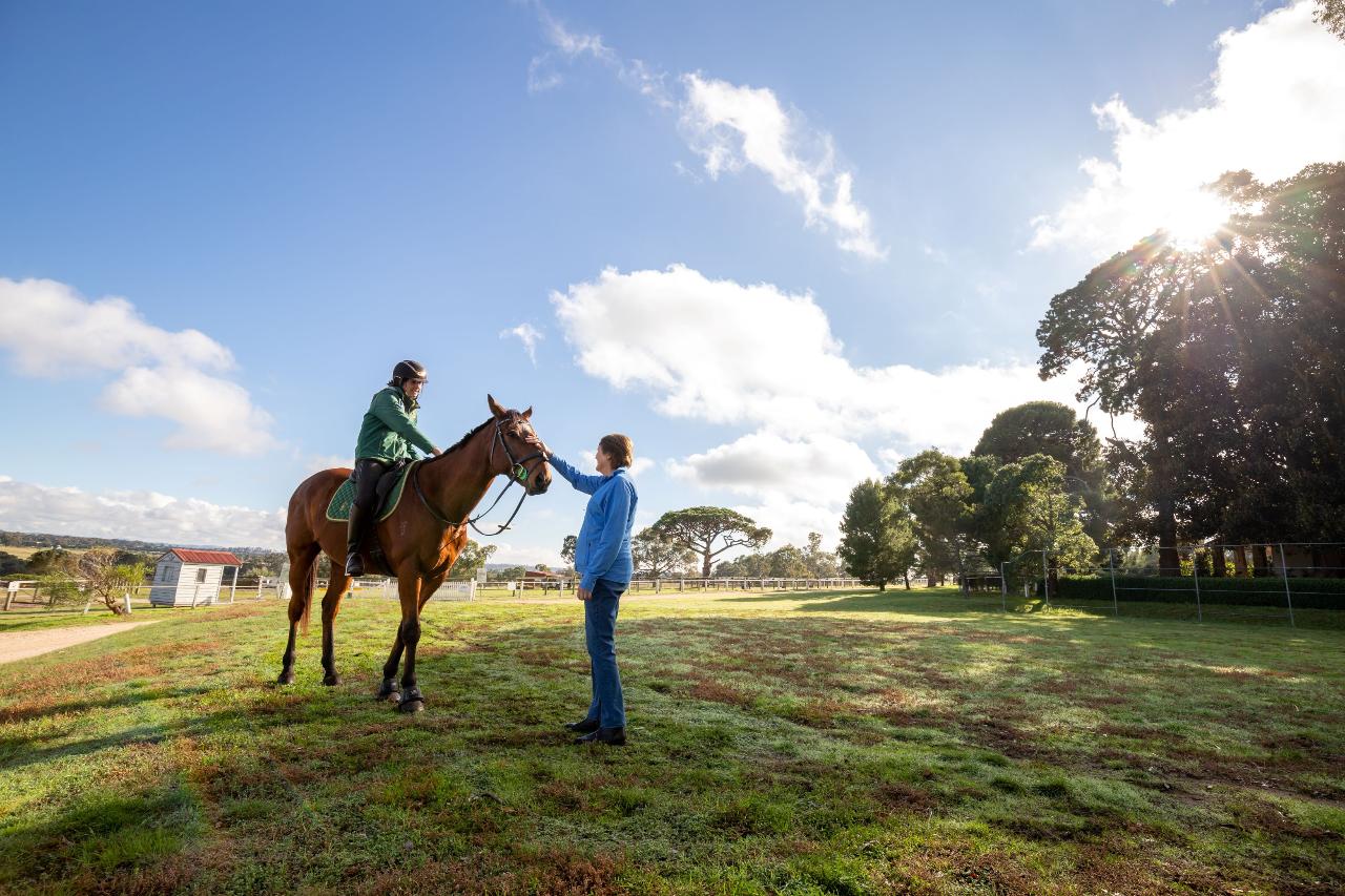 Half Day Racehorse Tour