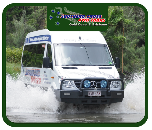 Jetboat + 4WD ½ day Tour - Live