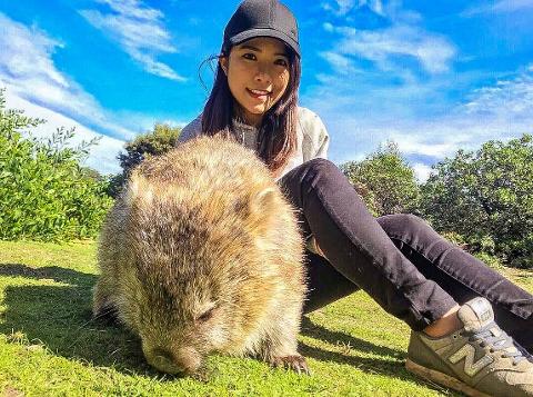 East Coast Tasmania – Wineglass and Wildlife Tasmania Australia
