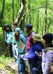 Edible & Medicinal Forest Ecotour