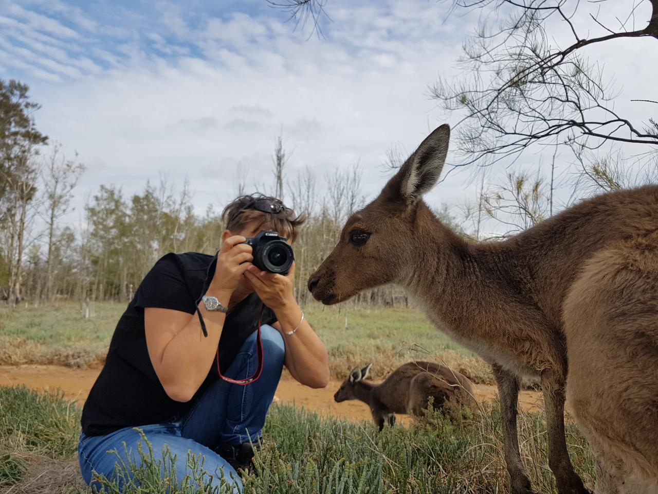 Wildflower, Nature and Wildlife Tour