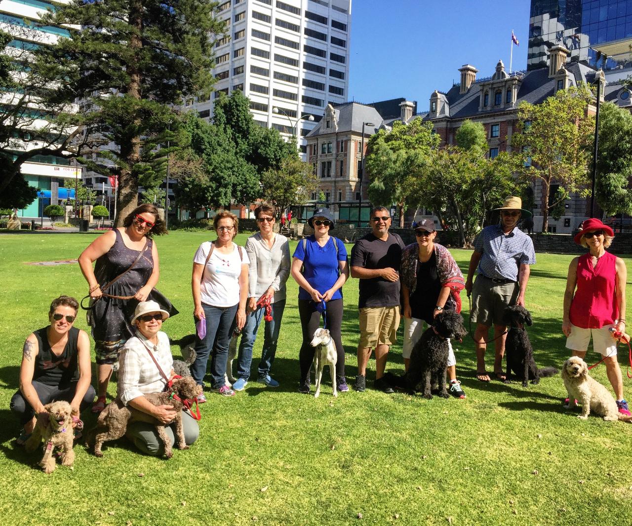 Four Paws & a Heartbeat - Walking Tour with dogs