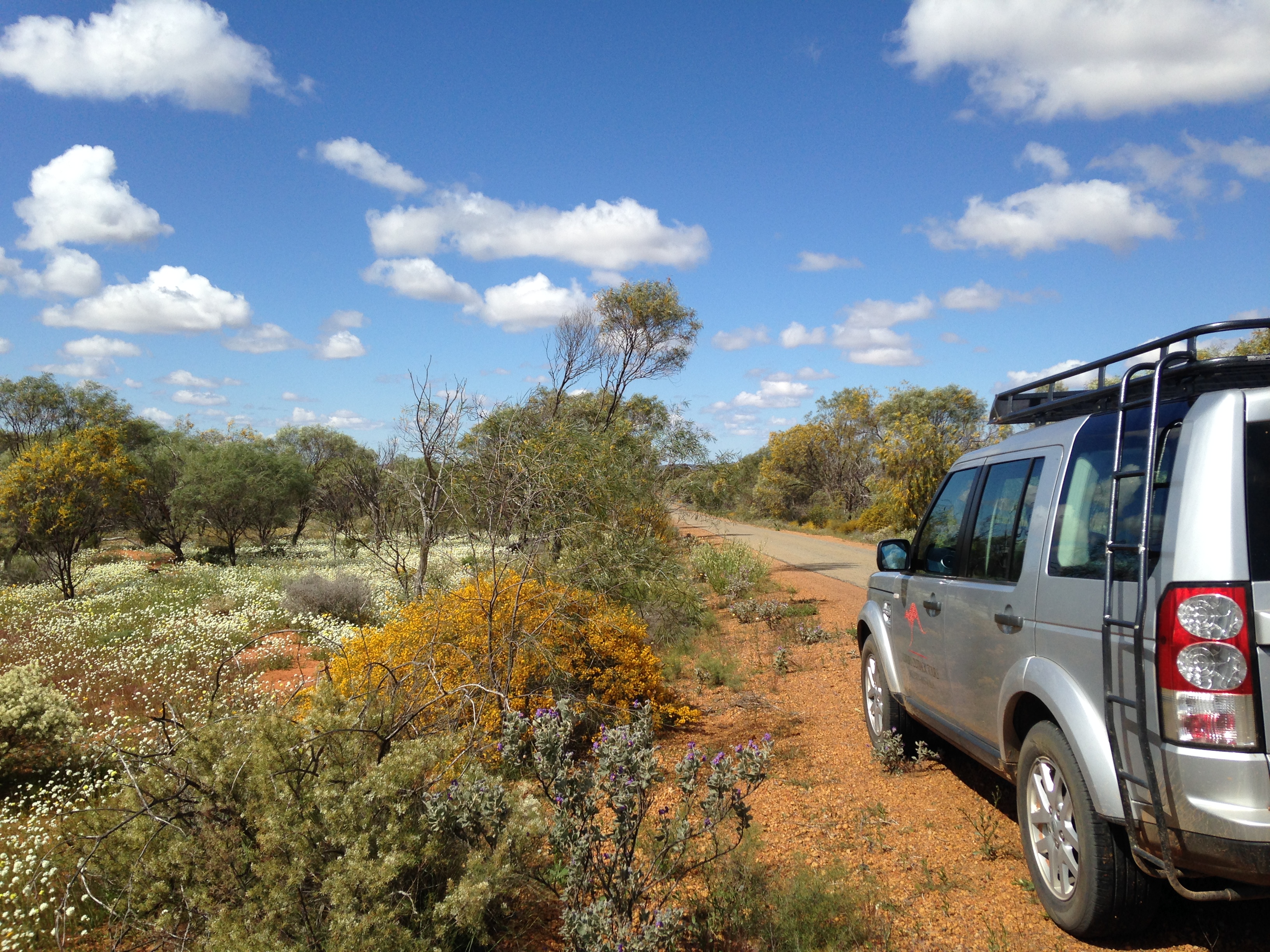 7 Day Outback Wildflower Tour