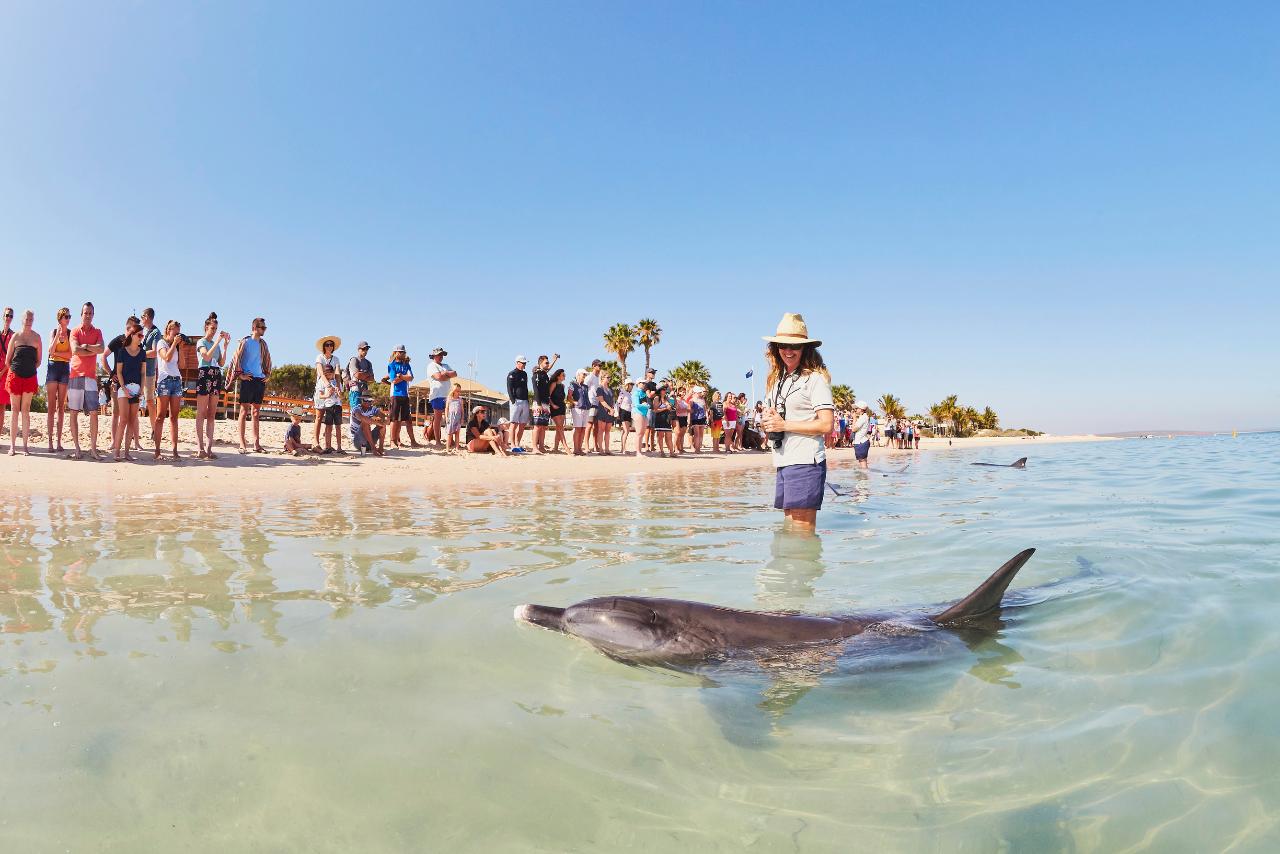 Pinnacles, Kalbarri, Shark Bay Monkey Mia Four Day Tour Luxury Outback Tours Reservations