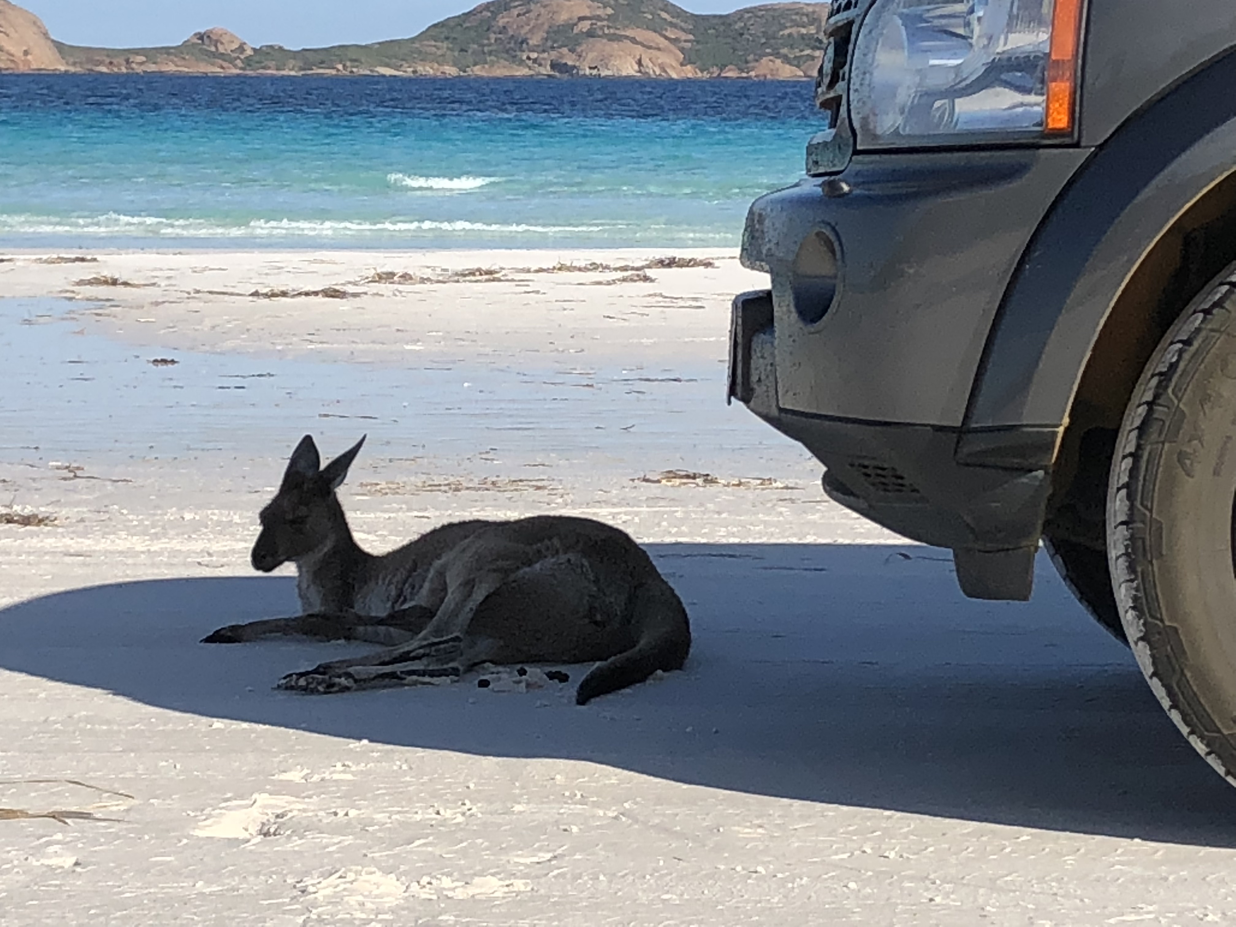 A Esperance Pink Lake Hillier 4-Day Tour with Helicopter Flight