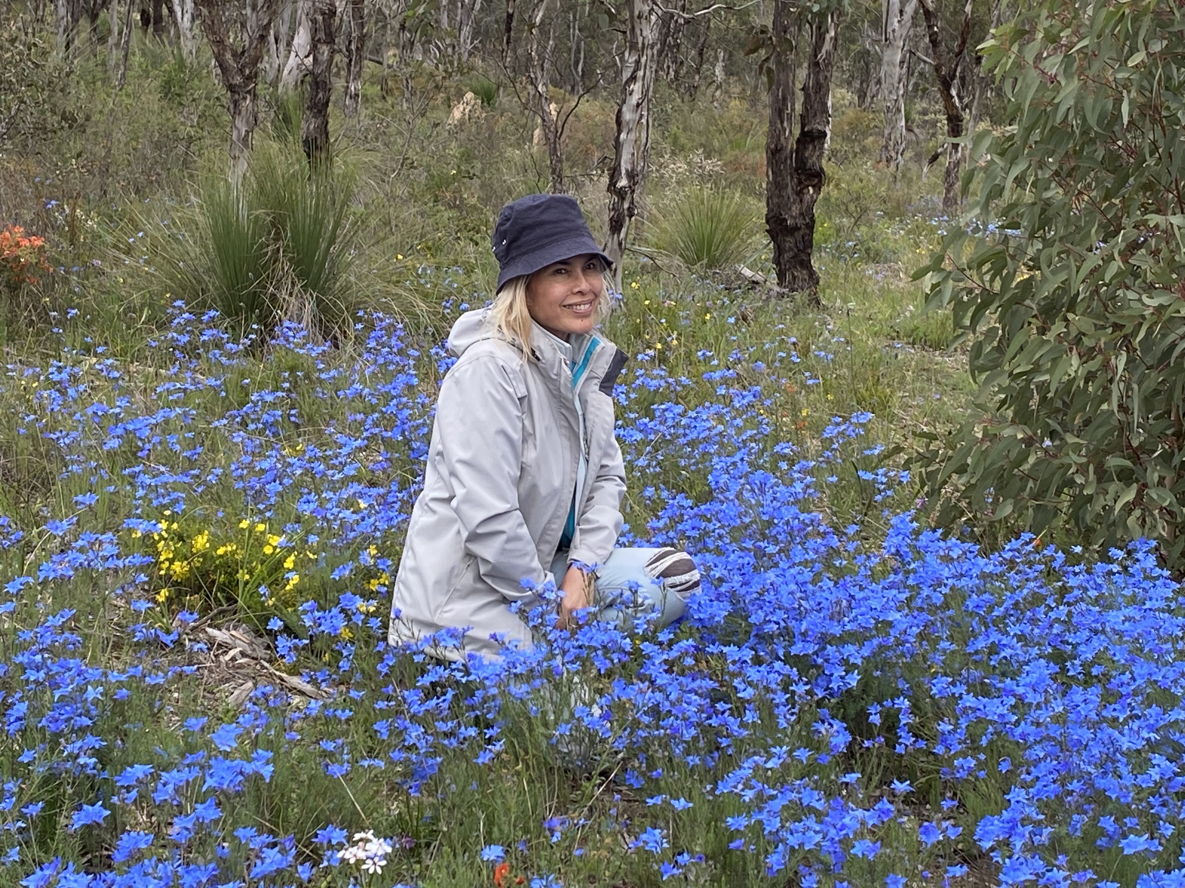 7 Day Outback Wildflower Tour