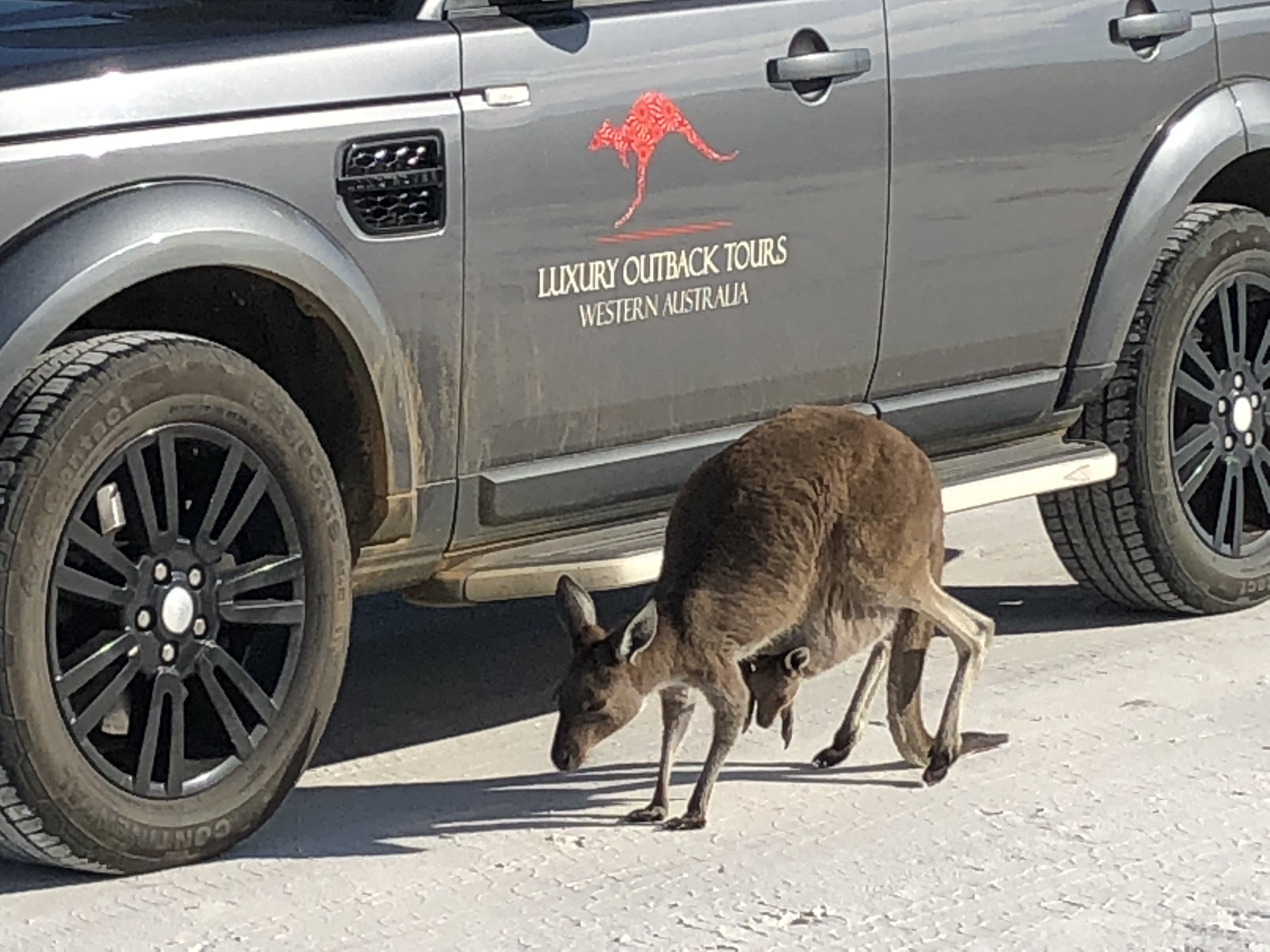 Esperance Ultimate Gem of WA 4-Day Tour