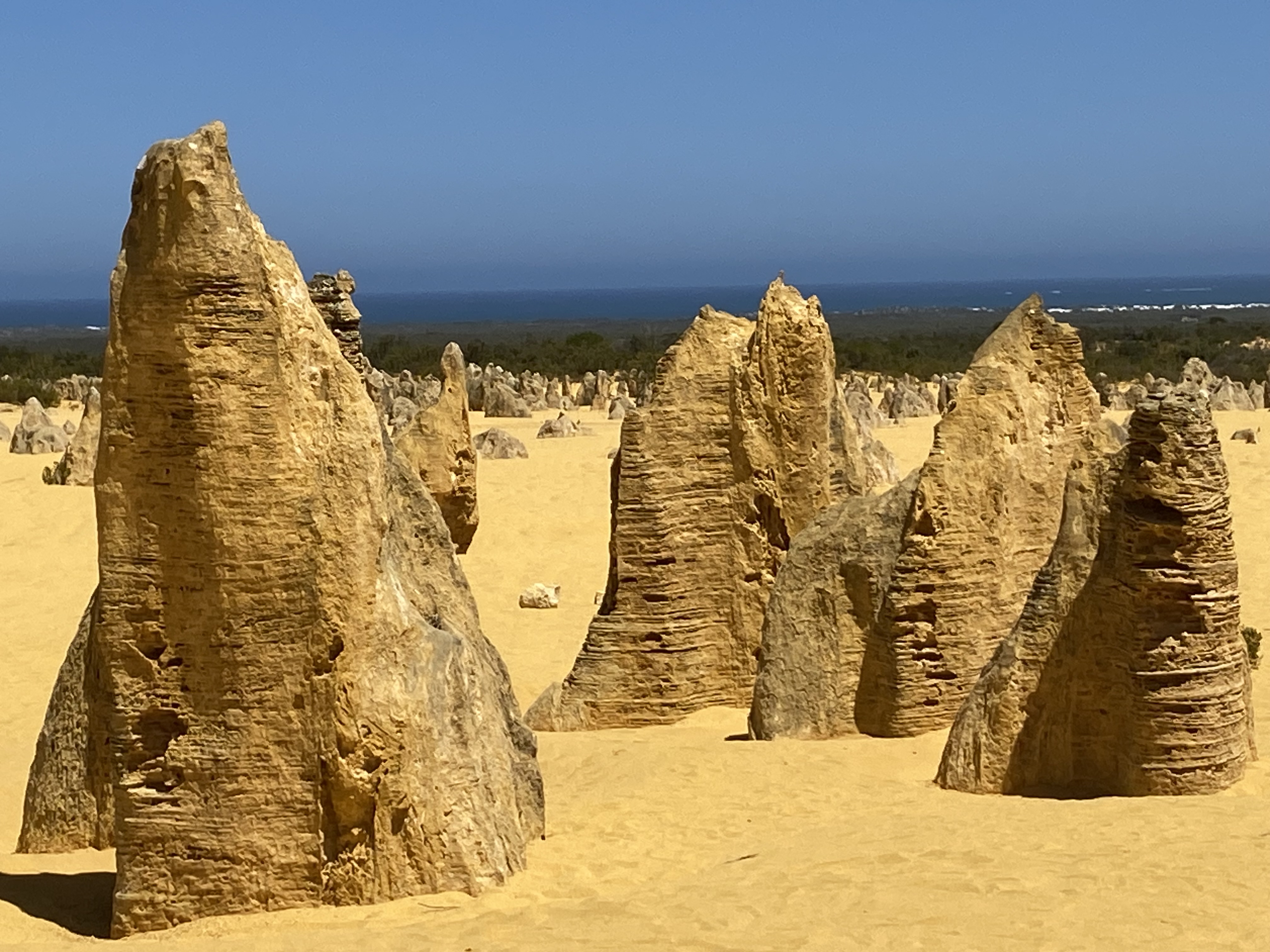 Pinnacles, Kalbarri, Monkey Mia, Shark Bay Four Day Tour