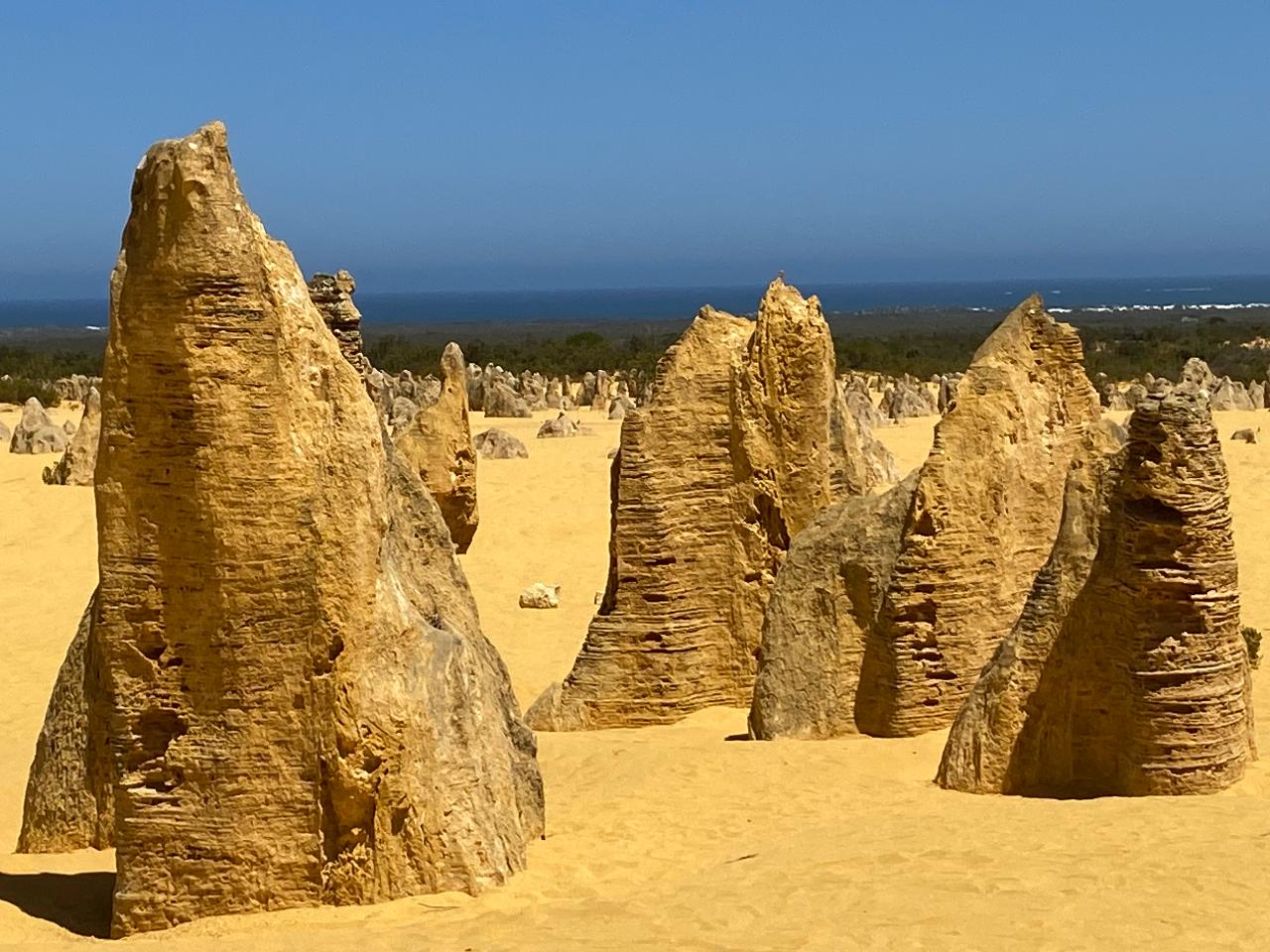 Pinnacles, Kalbarri, Shark Bay Monkey Mia Four Day Tour Luxury Outback Tours Reservations