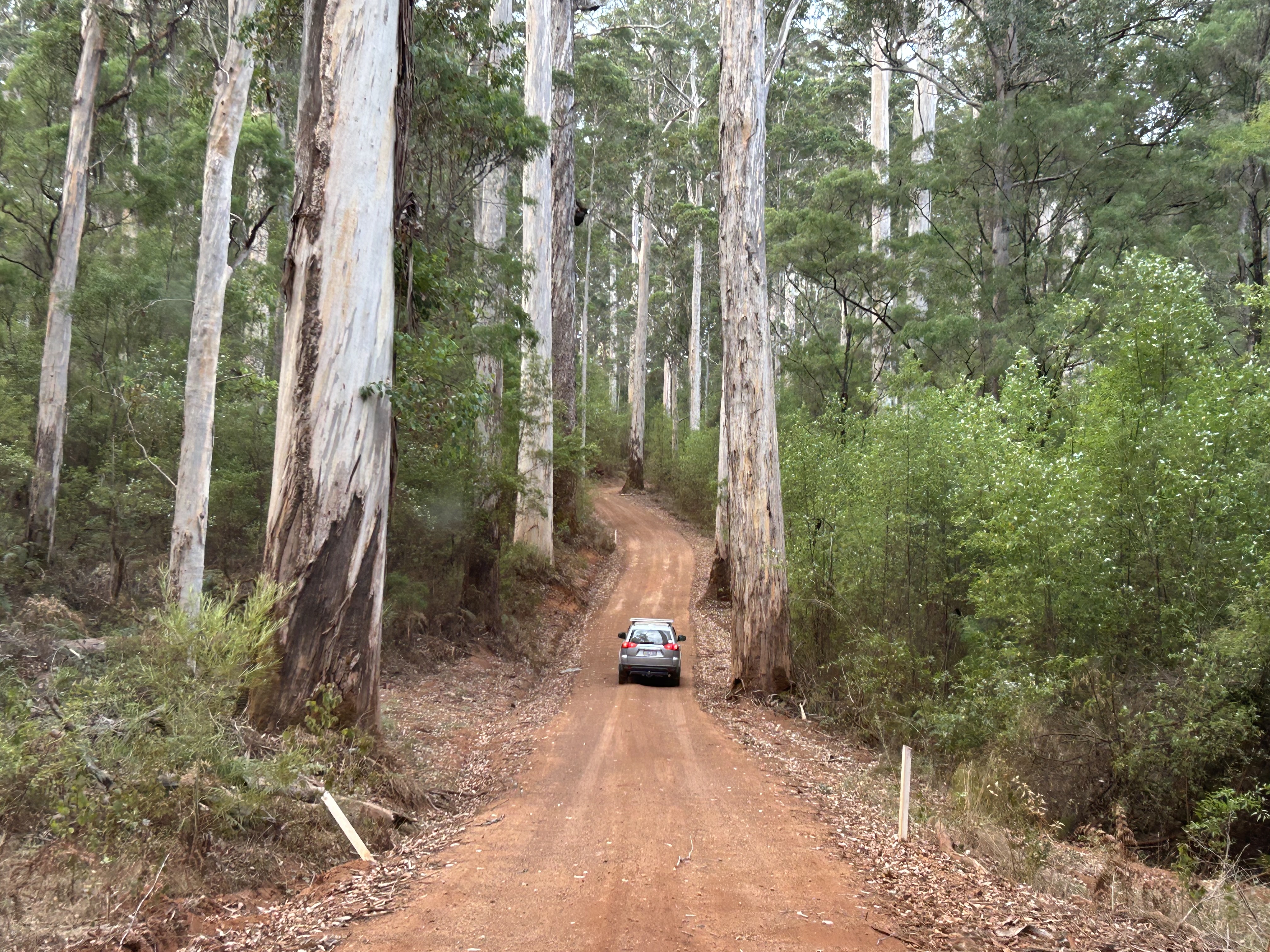 Seven Day Tour Margaret River, Pemberton, Albany, Wave Rock
