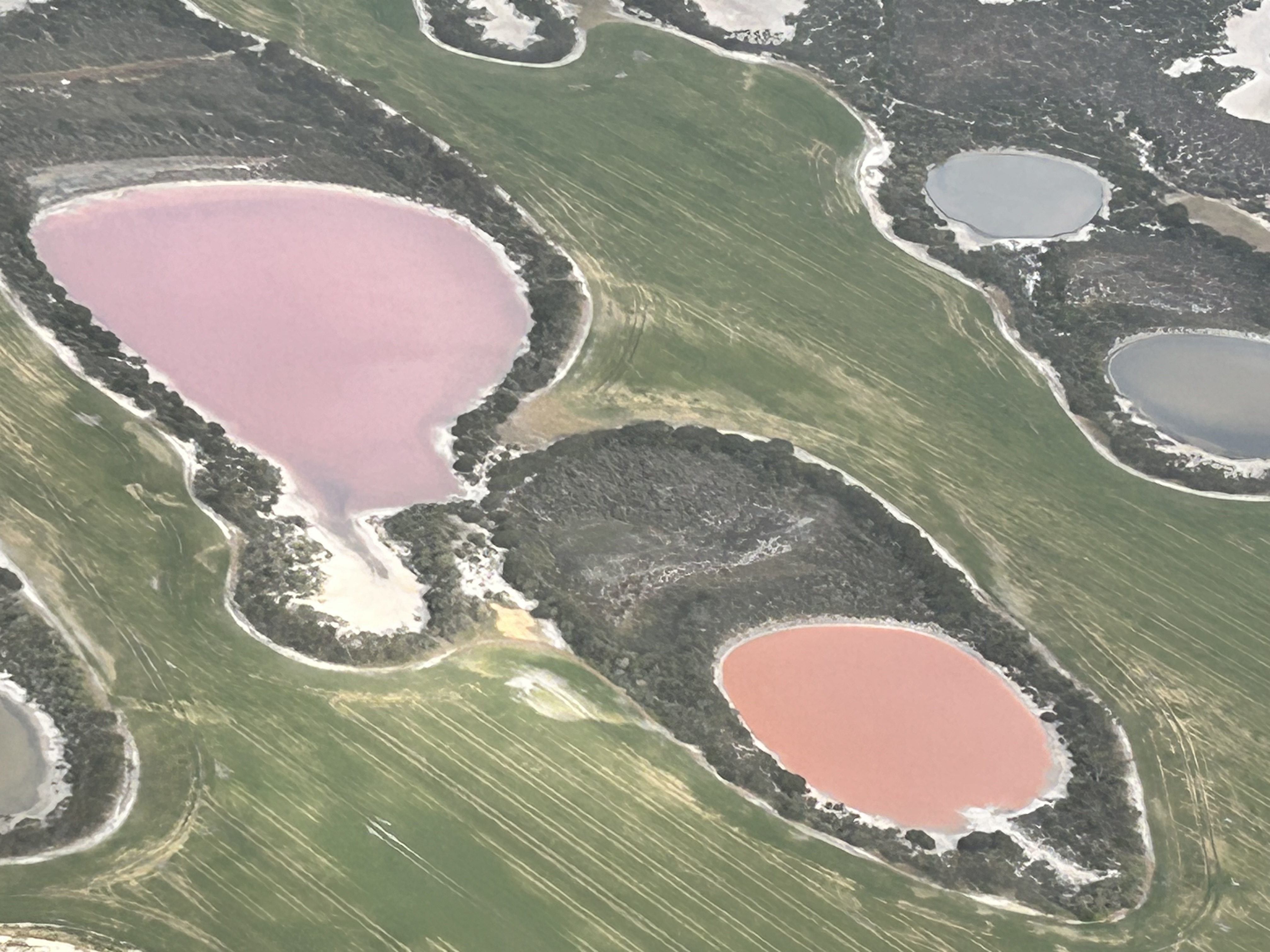 Esperance Ultimate Gem of WA 4-Day Tour