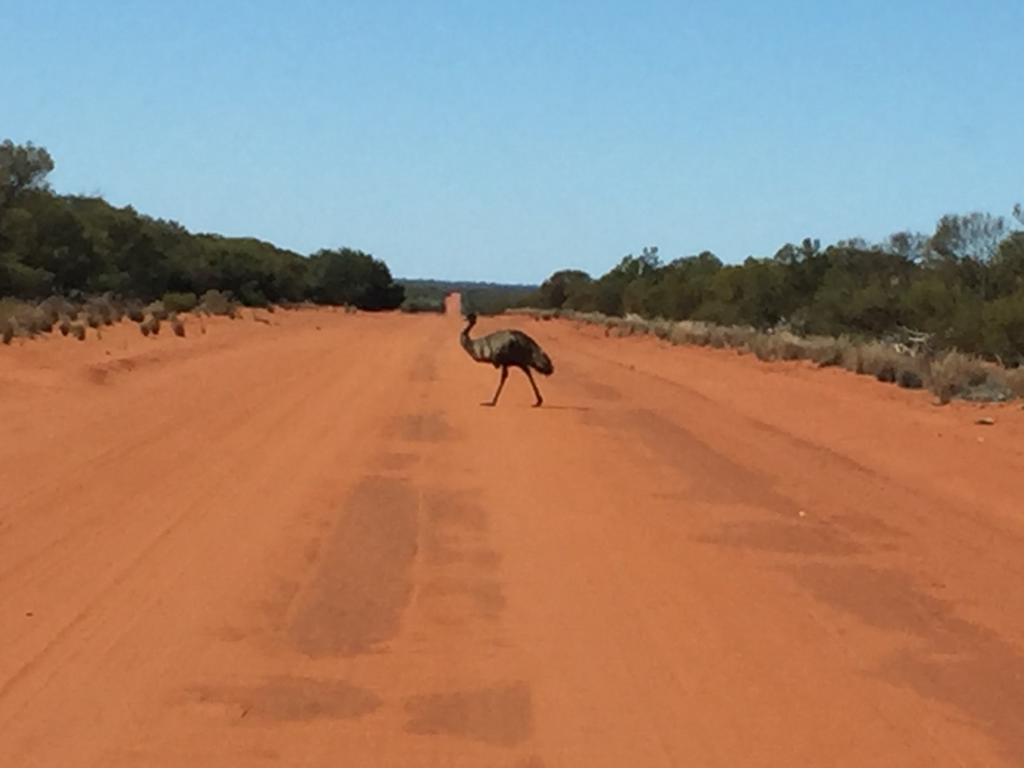 Burringurrah Mount Augustus Dirk Hartog Island 10 Day Tour  2025