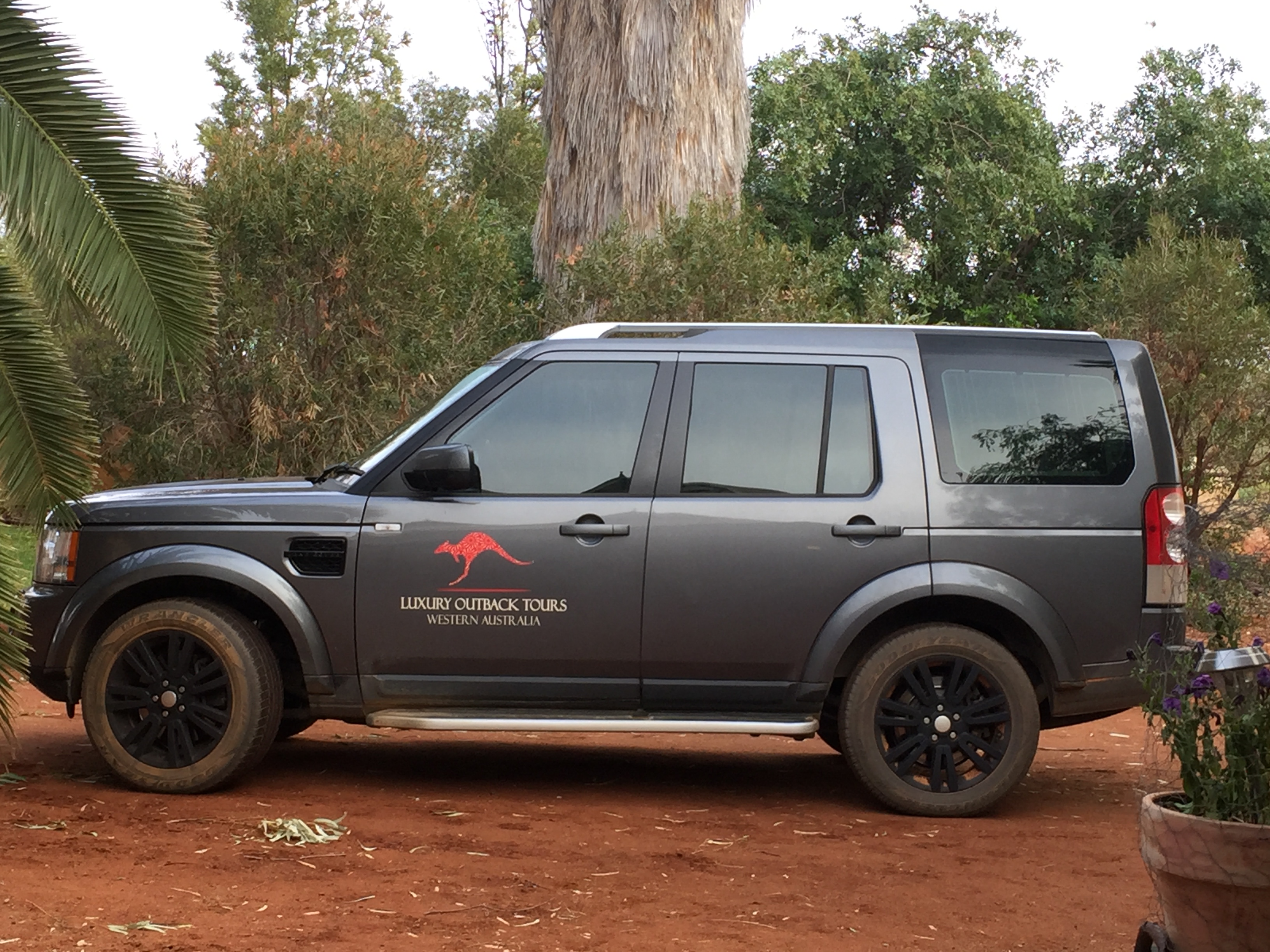 Pinnacles, Kalbarri, Monkey Mia, Shark Bay Four Day Tour