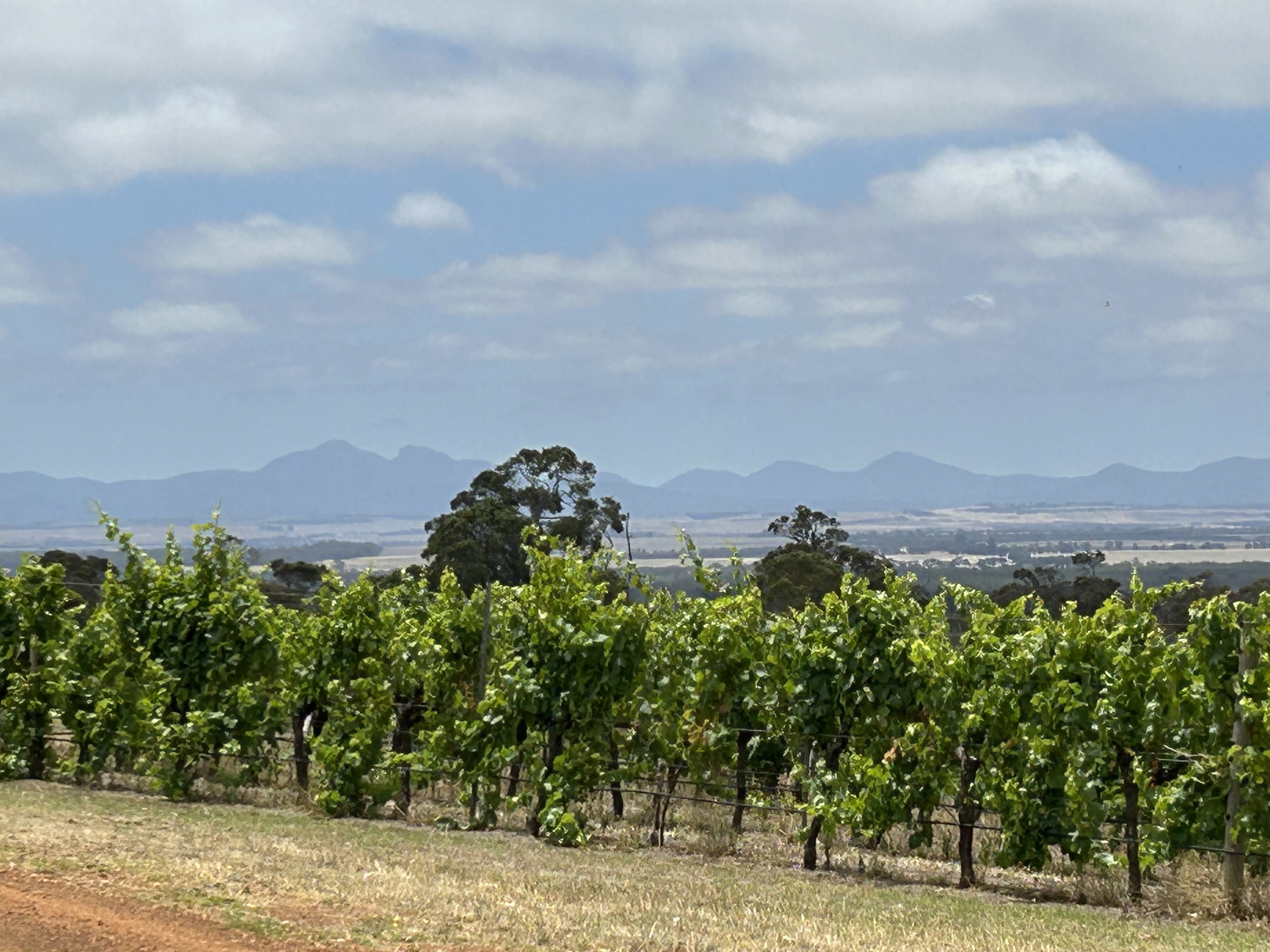 Mt Barker & Porongurup Wine Tour