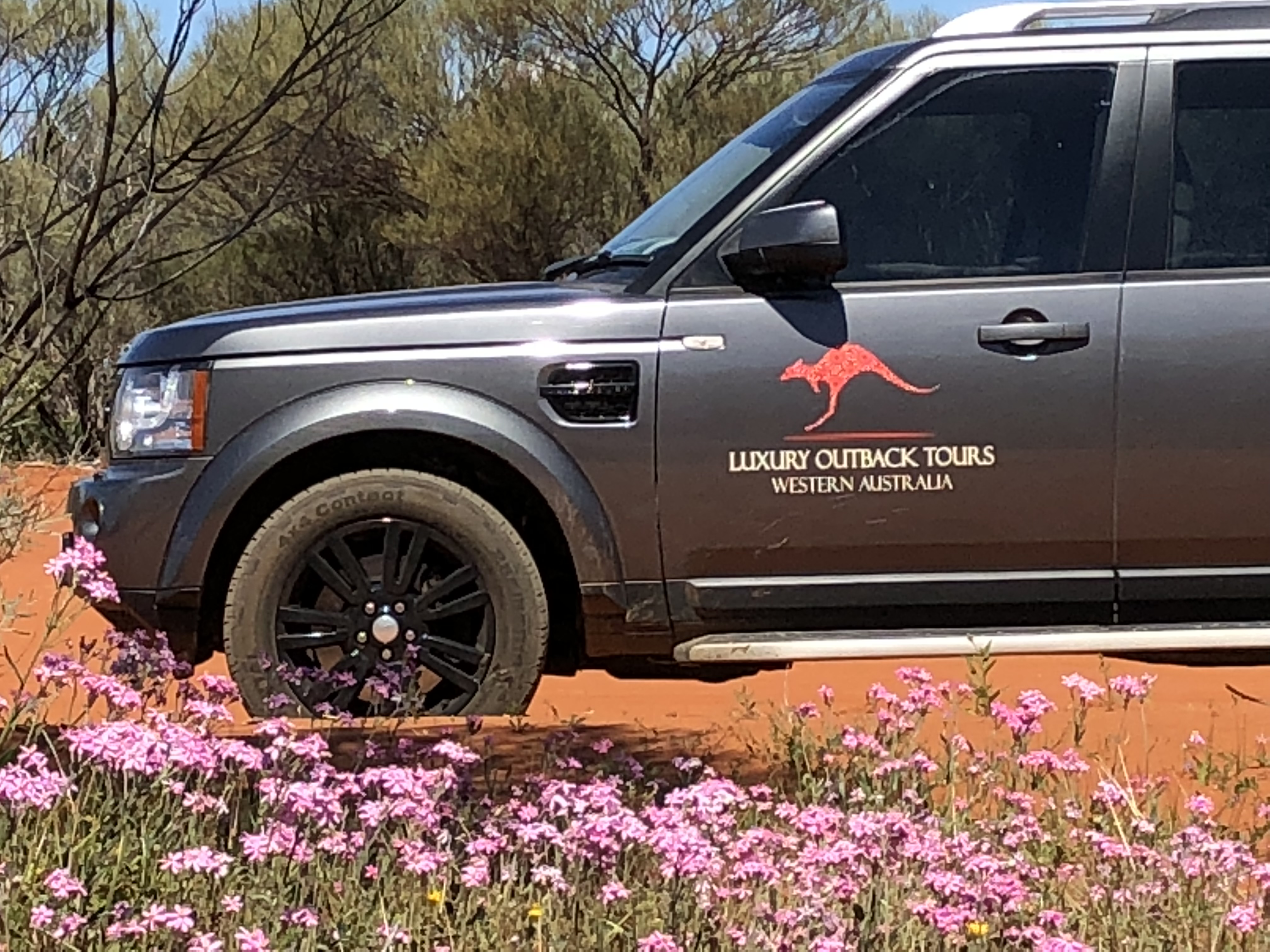 7 Day Outback Wildflower Tour