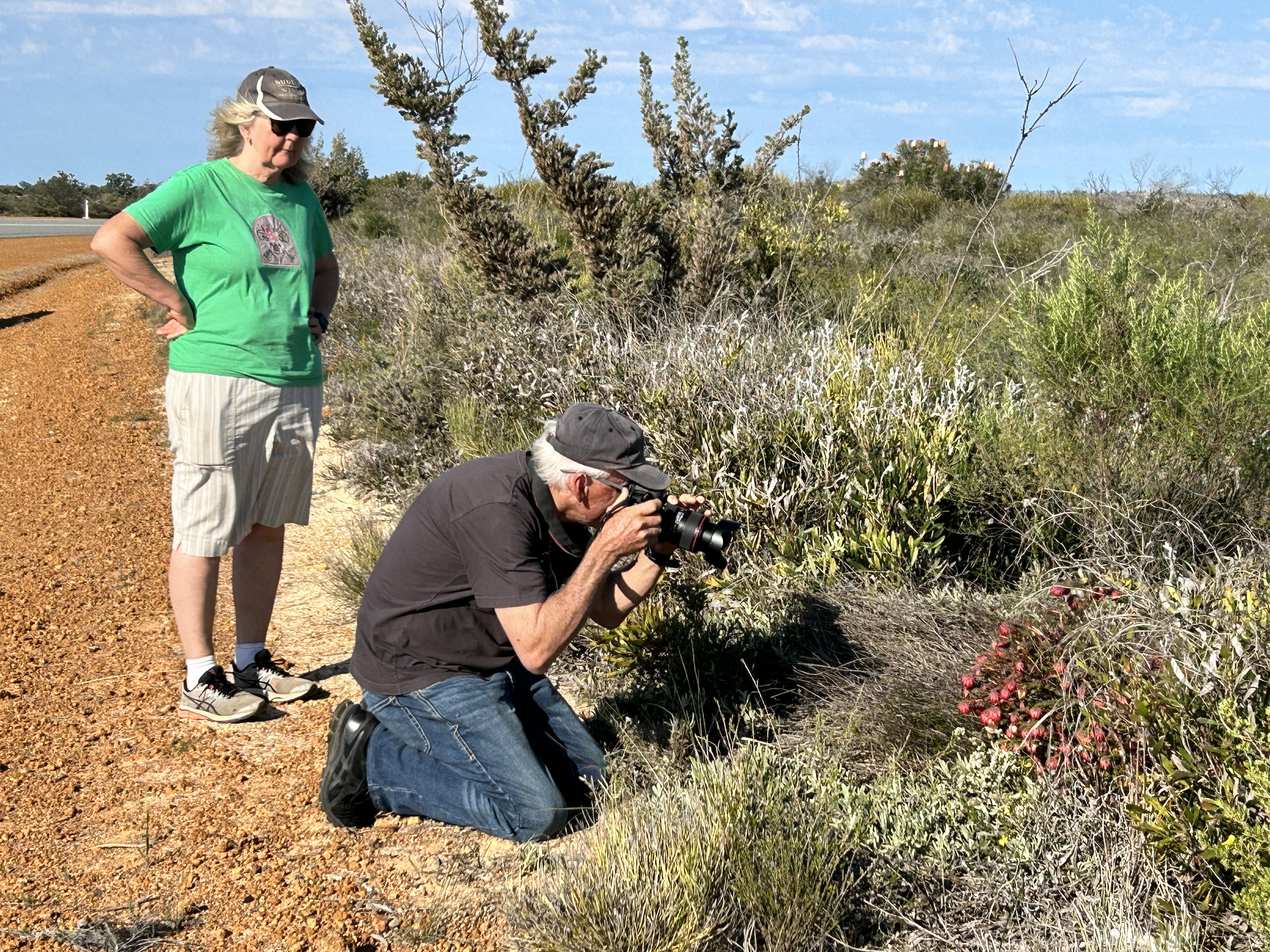 7 Day Outback Wildflower Tour
