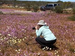 Outback and Station 7 Day Tour, 2 Nights at Wooleen Station 25