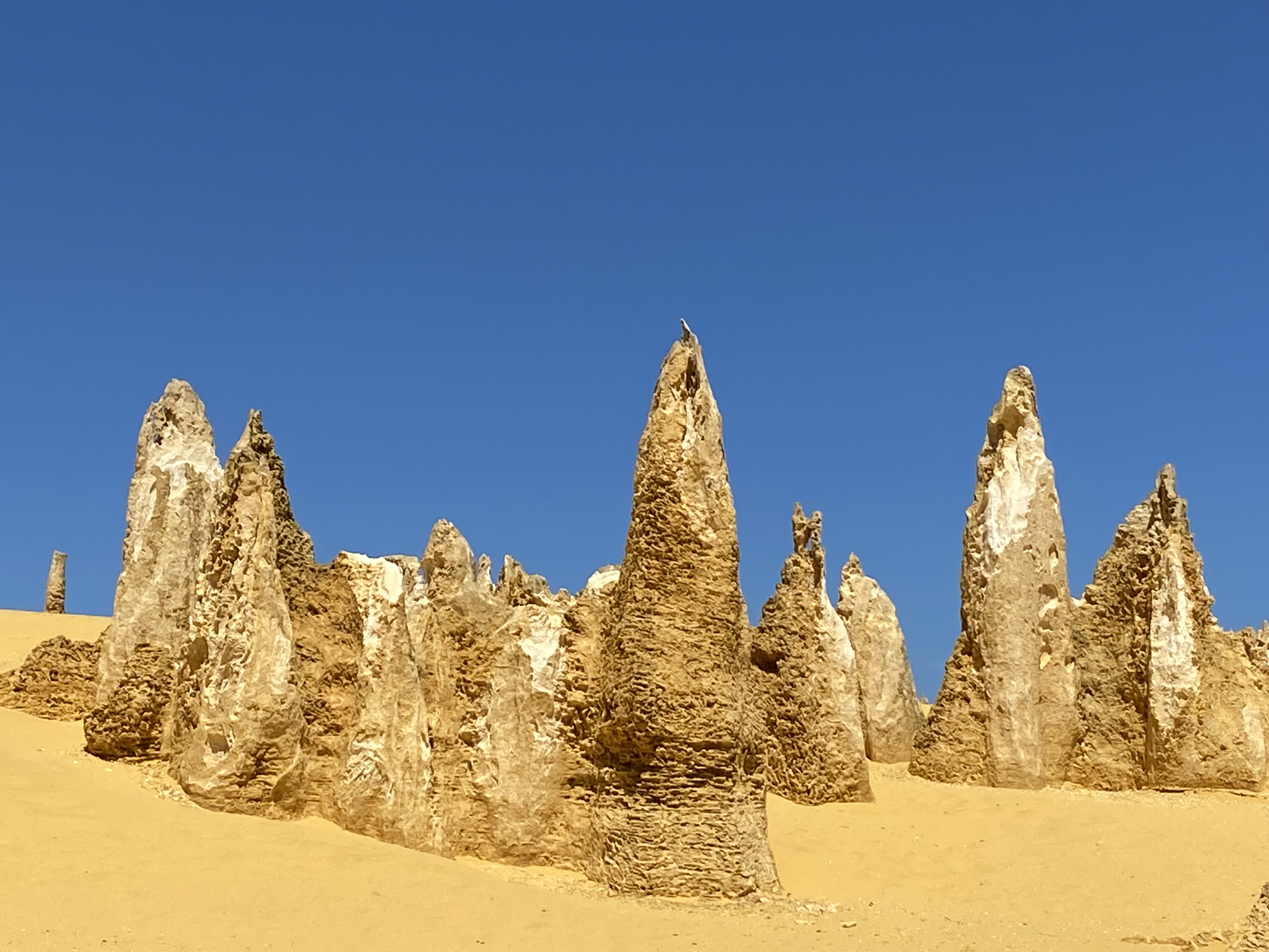 Pinnacles, Kalbarri, Monkey Mia, Shark Bay Four Day Tour