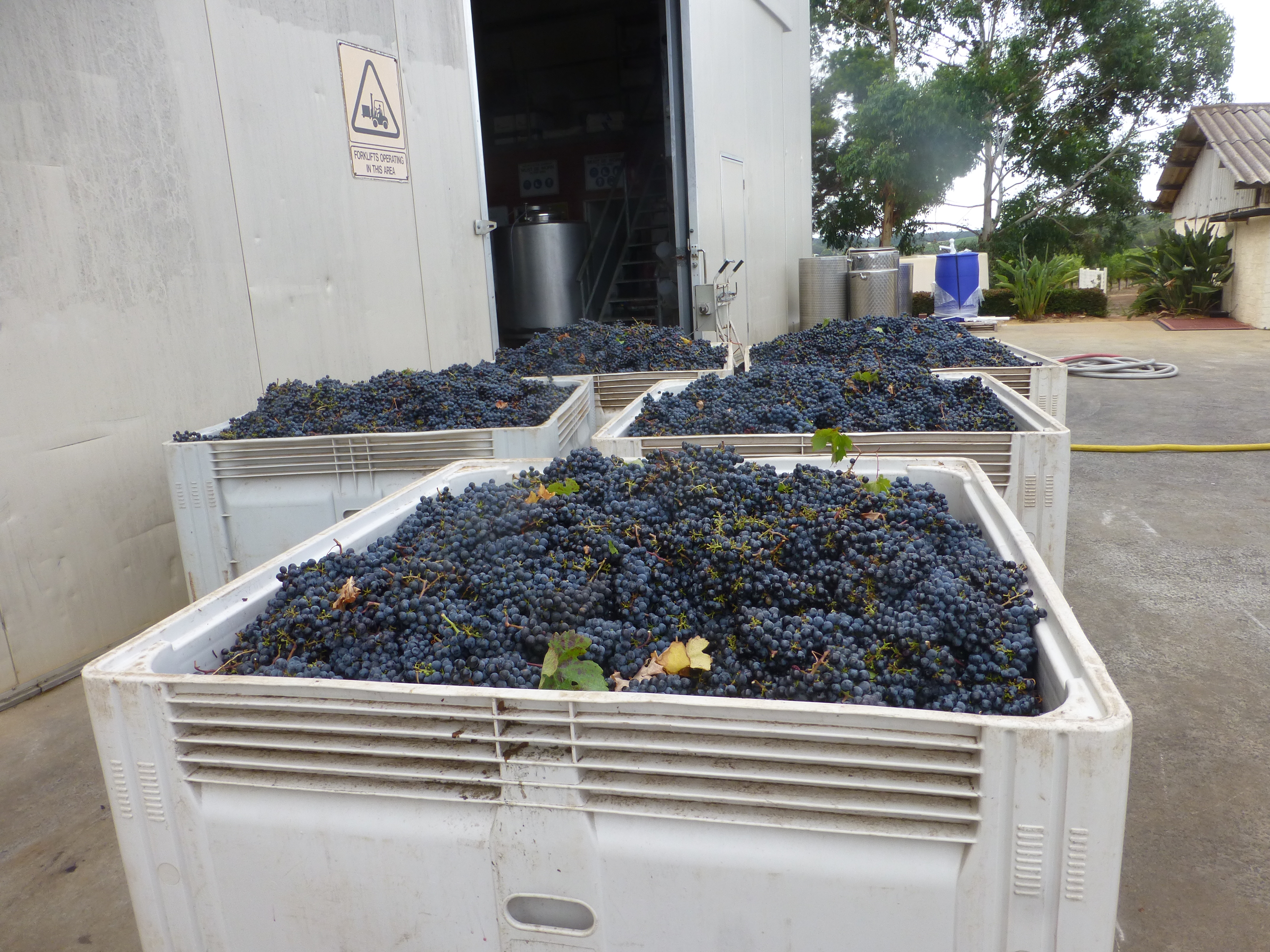 A Taste of  Margaret River Wine Tour