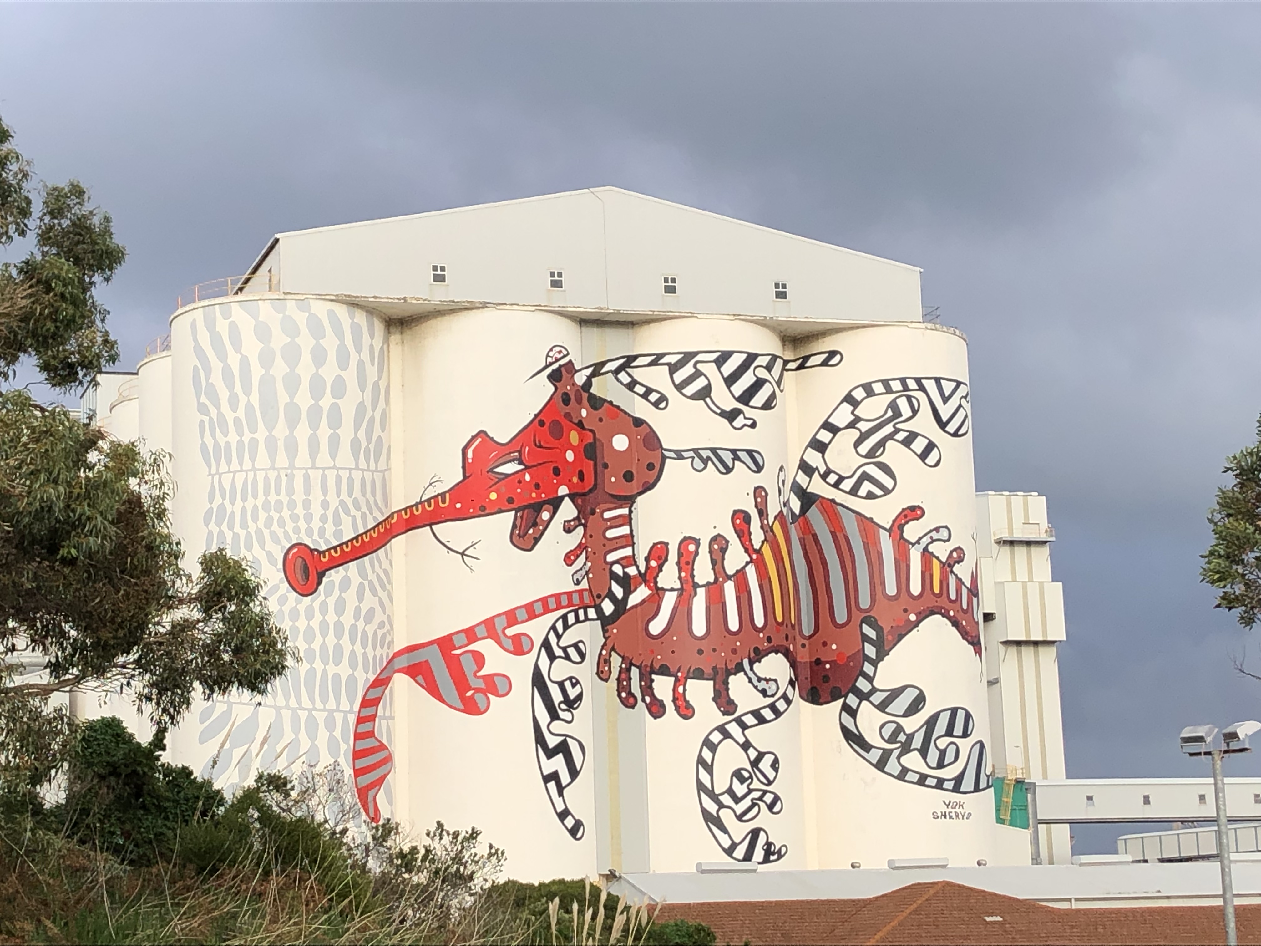 Seven Day Tour Margaret River, Pemberton, Albany, Wave Rock