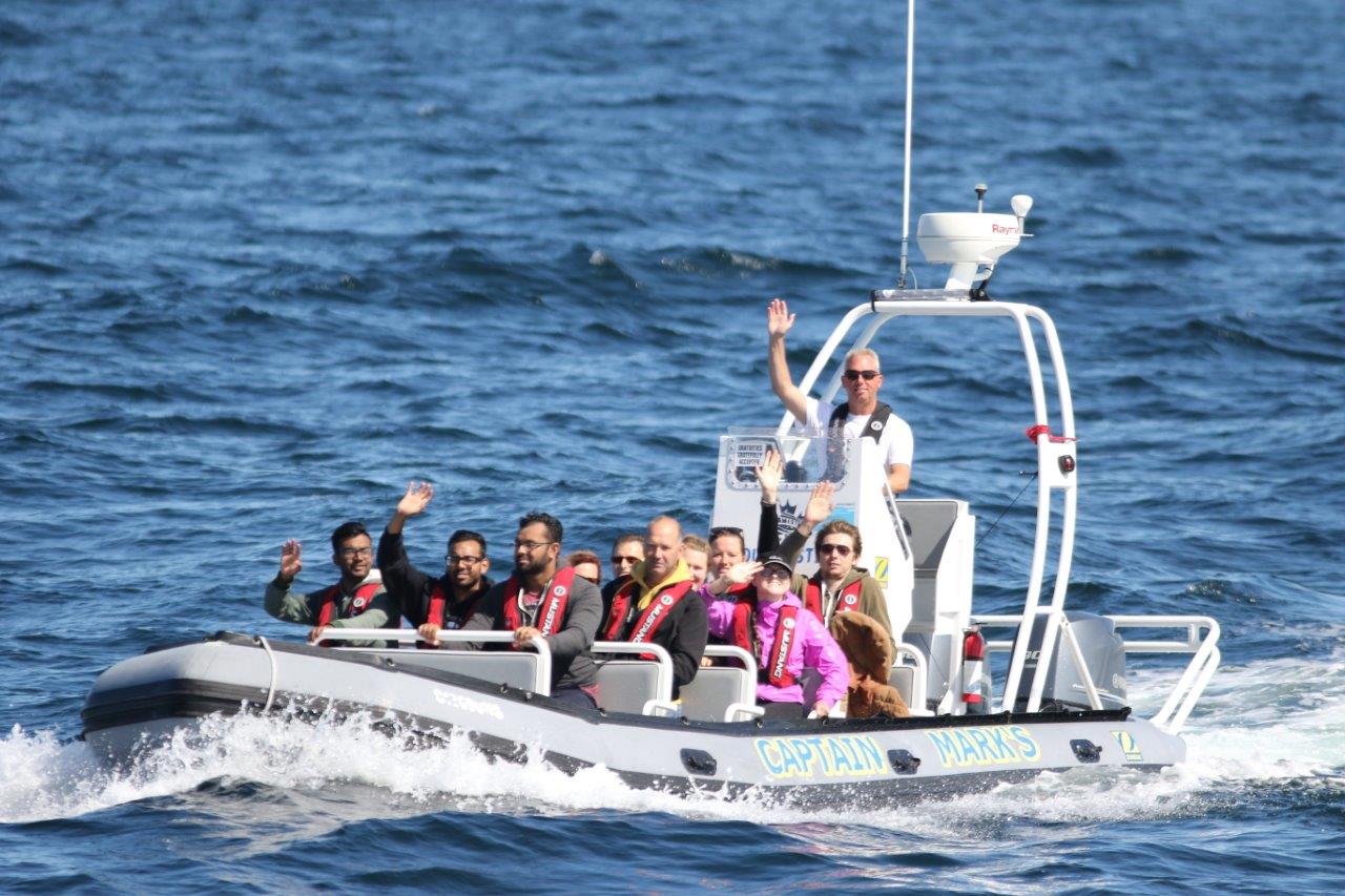 Zodiac Vessel "Tourmaster" Capt. Mark's Whale and Seal Cruise